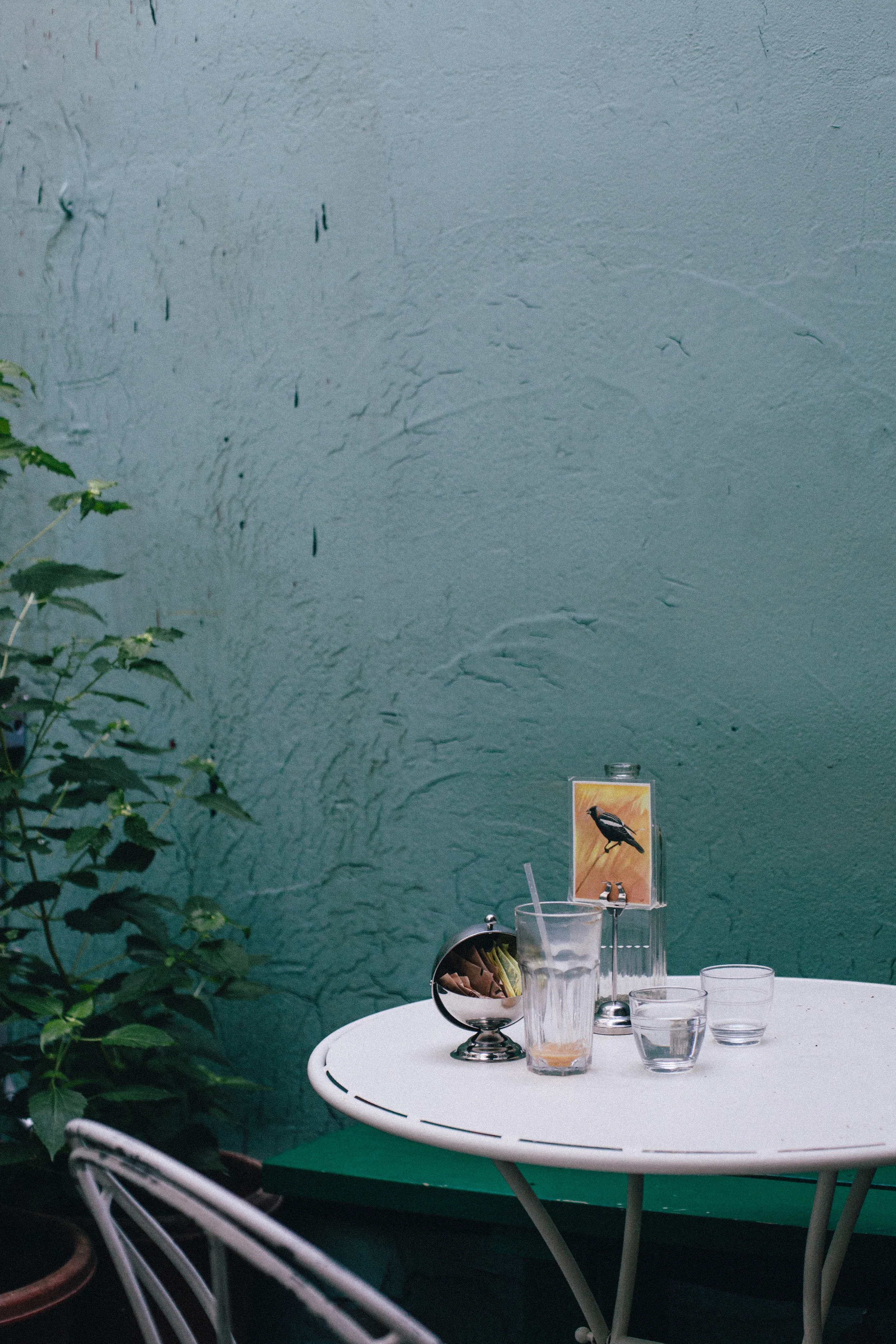 kinfolk-1-2.jpg