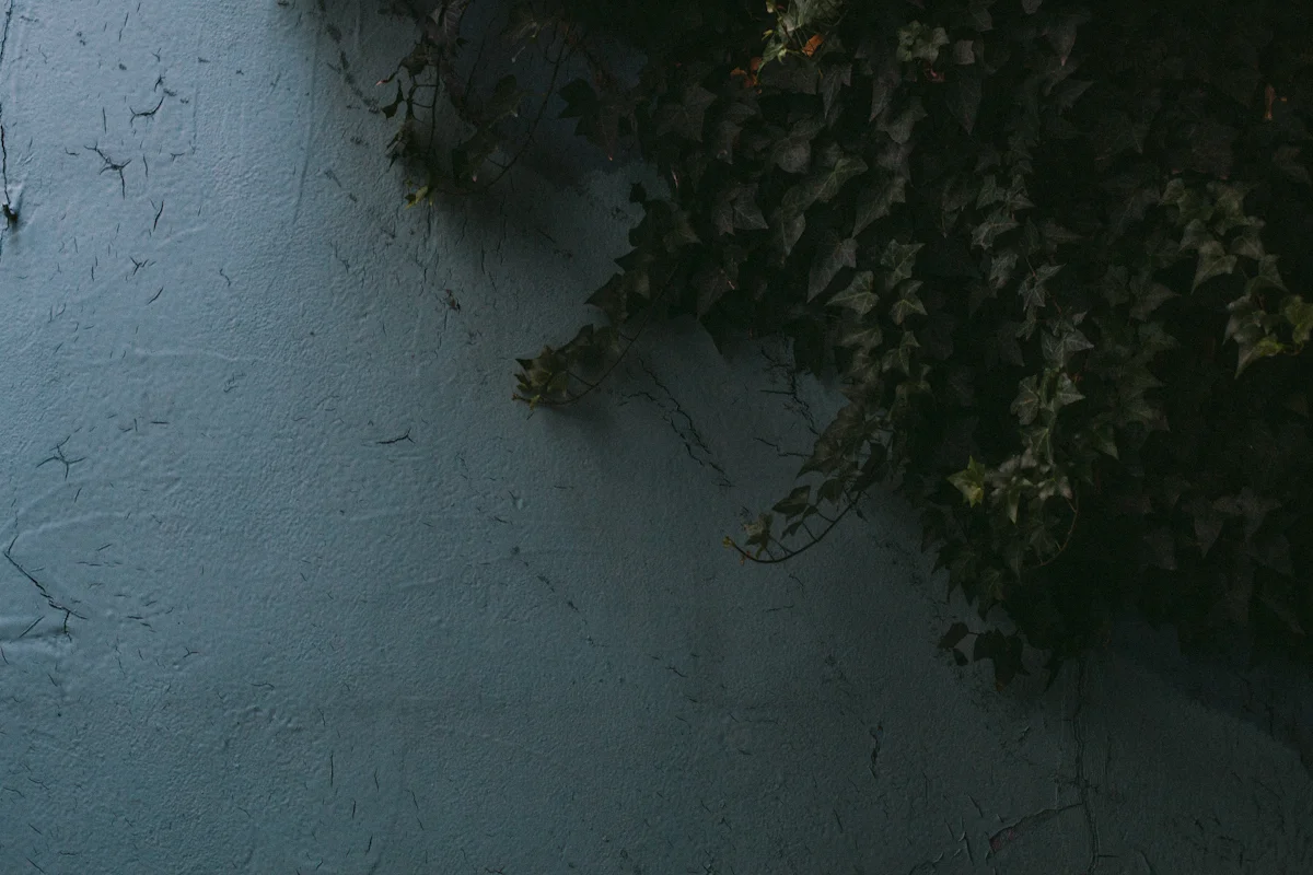 kinfolk-4.jpg