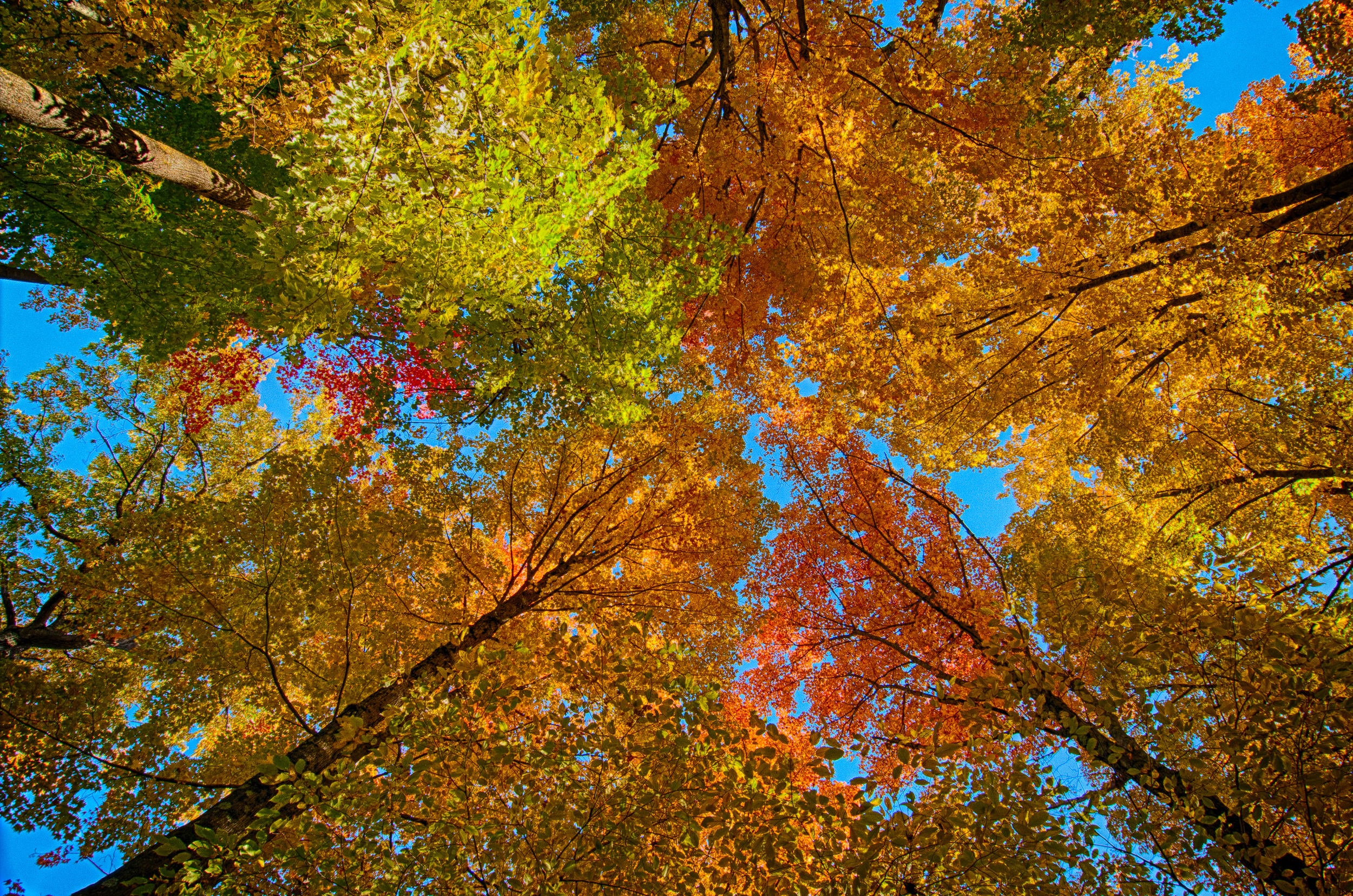 Fall Colors (181 of 190)_HDR-12.jpg