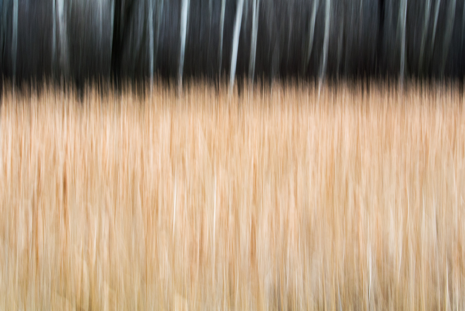 Click on this photograph to view a larger version of it.