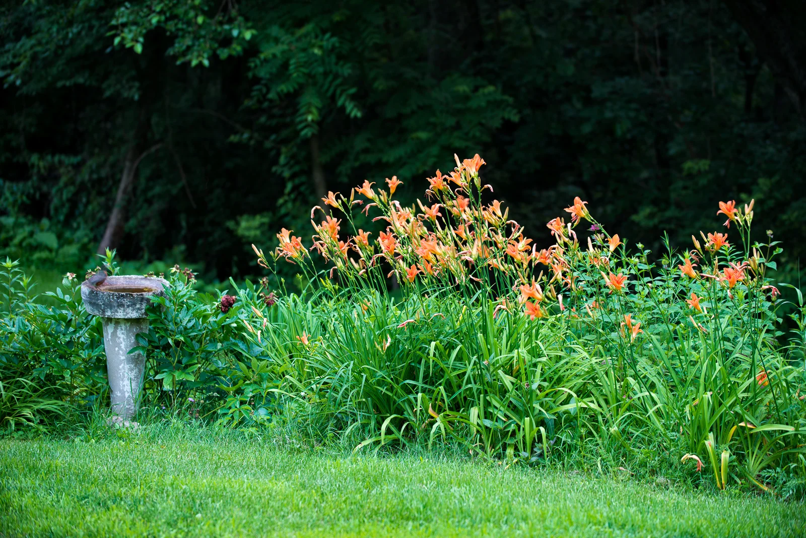 Click on this photograph to view a larger version of it.