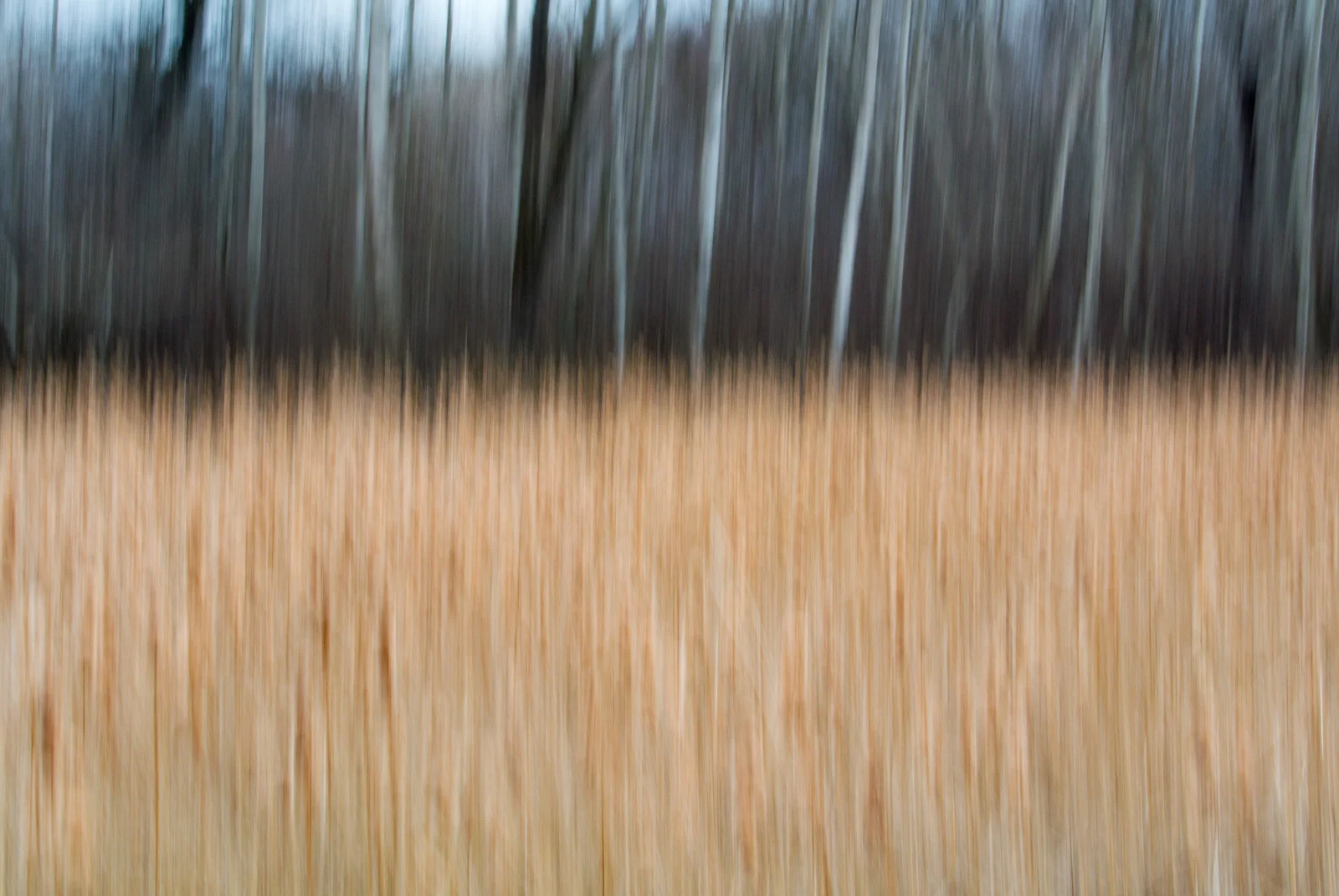 Click on this photograph to view a larger version of it.