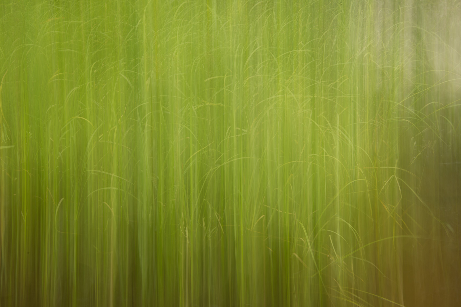 Click on this photograph to view a larger version of it.