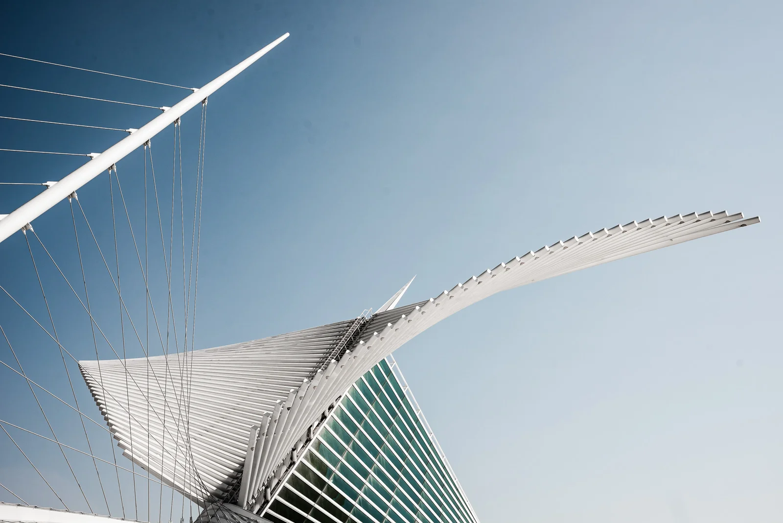 Click on this photograph to view a larger version of it.