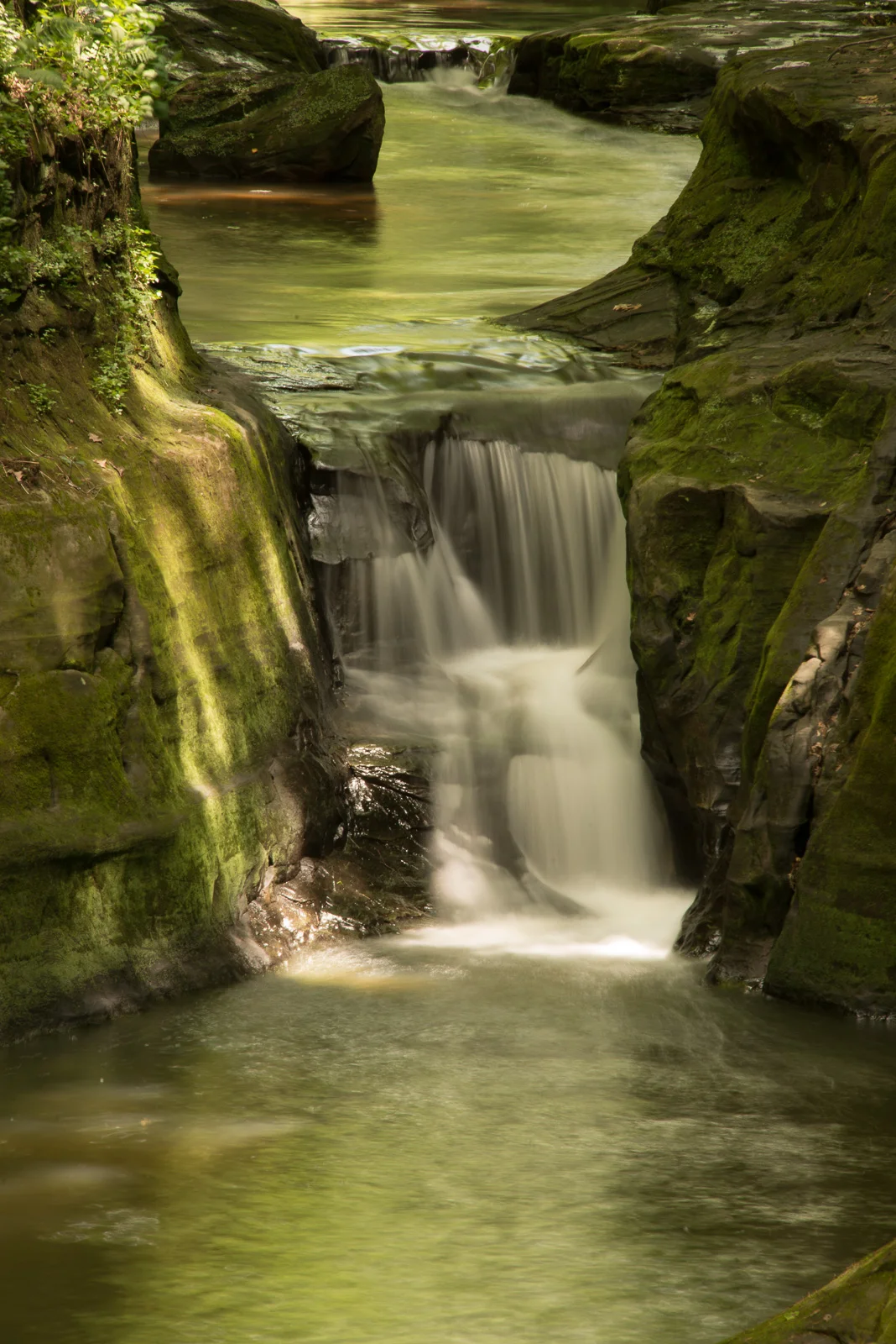 Click on this photograph to view a larger version of it.