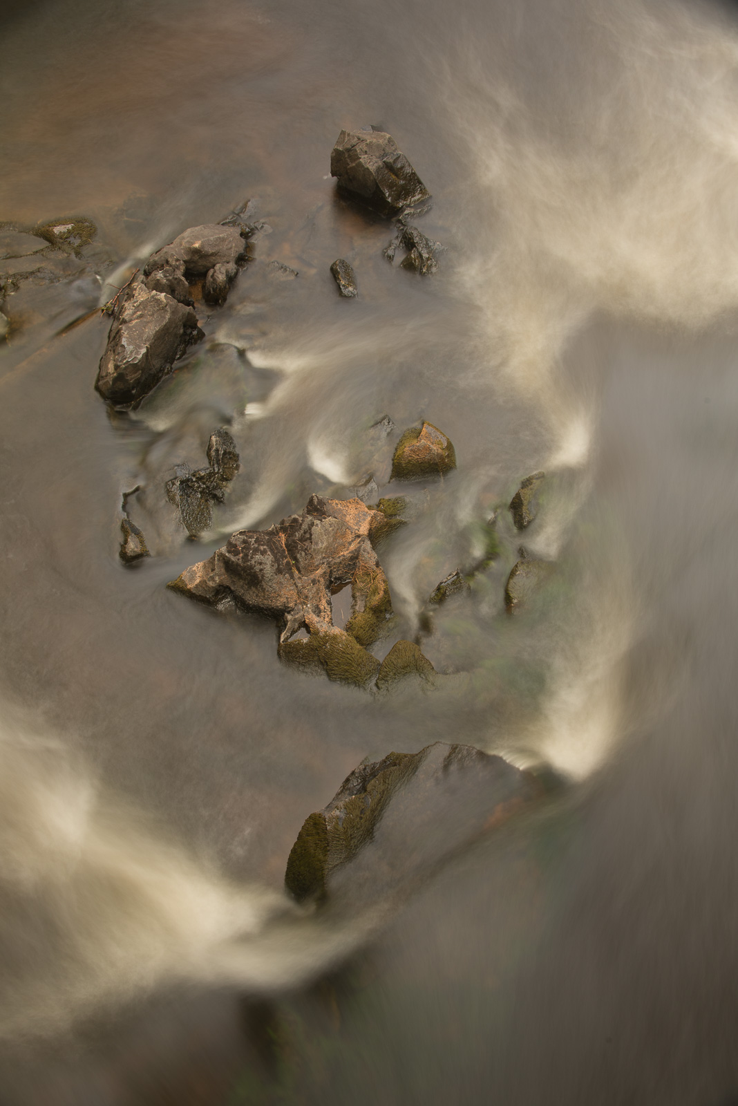 Click on this photograph to view a larger version of it.