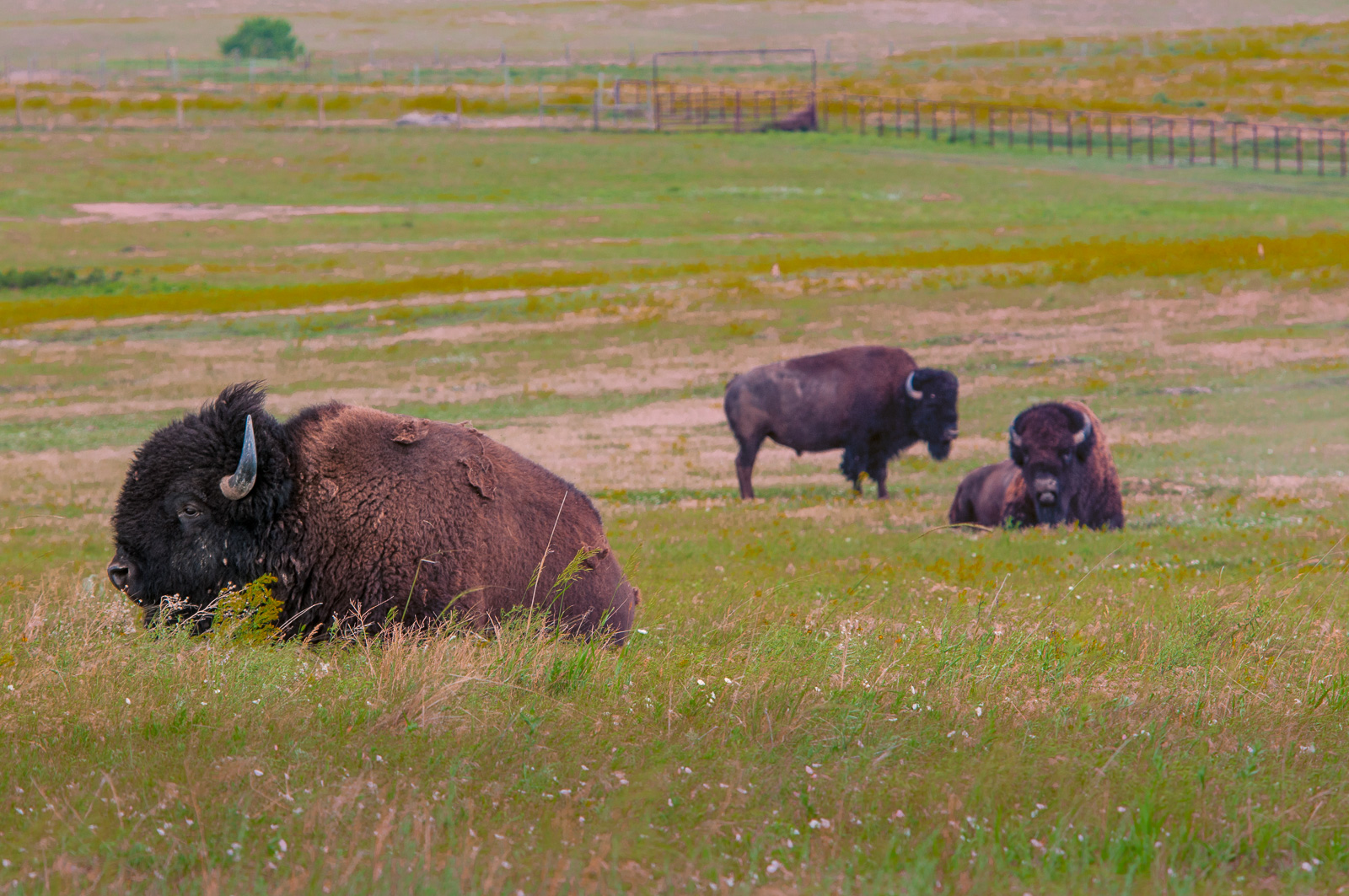 Click on this photograph to view a larger version of it.