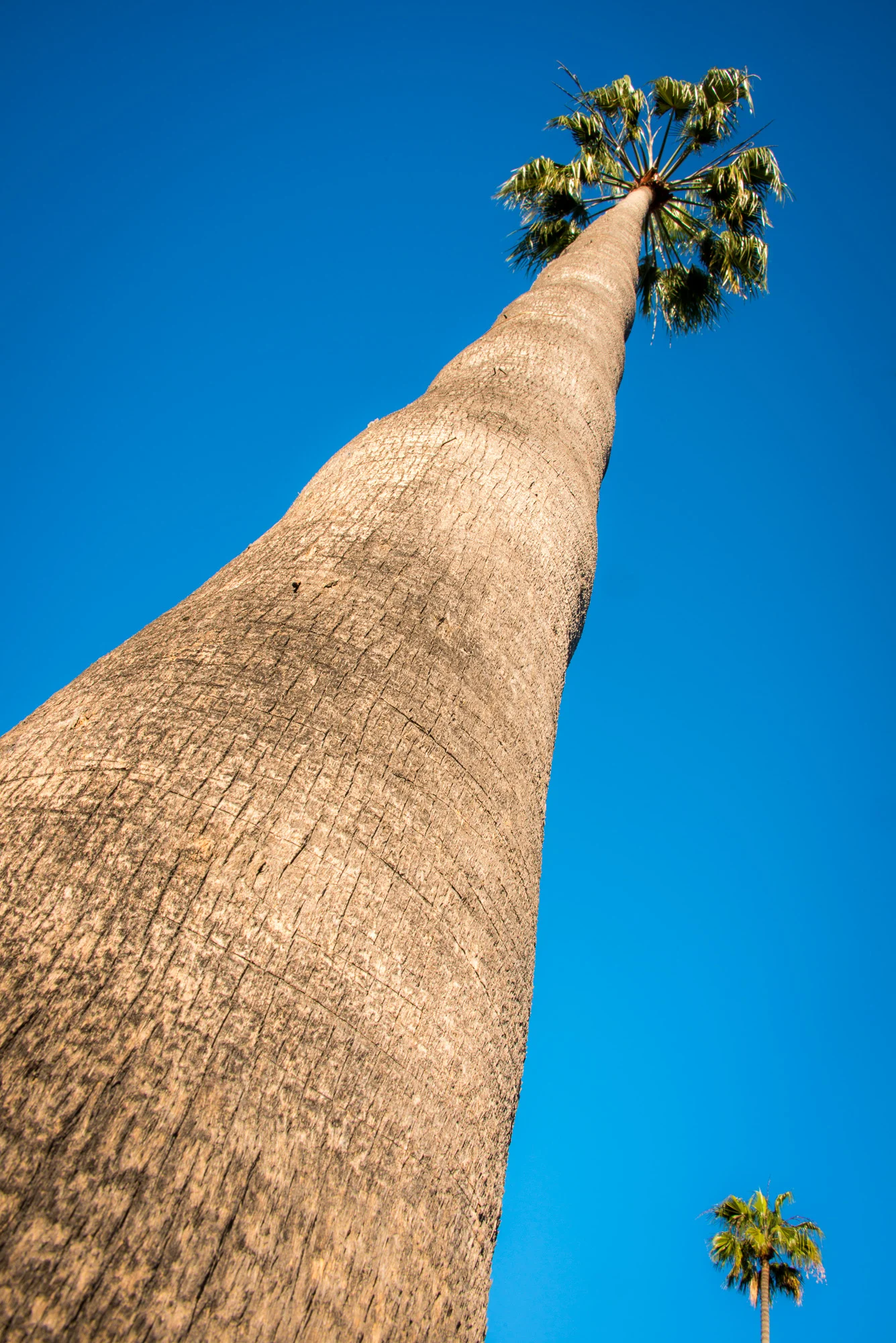 Click on this photograph to view a larger version of it.