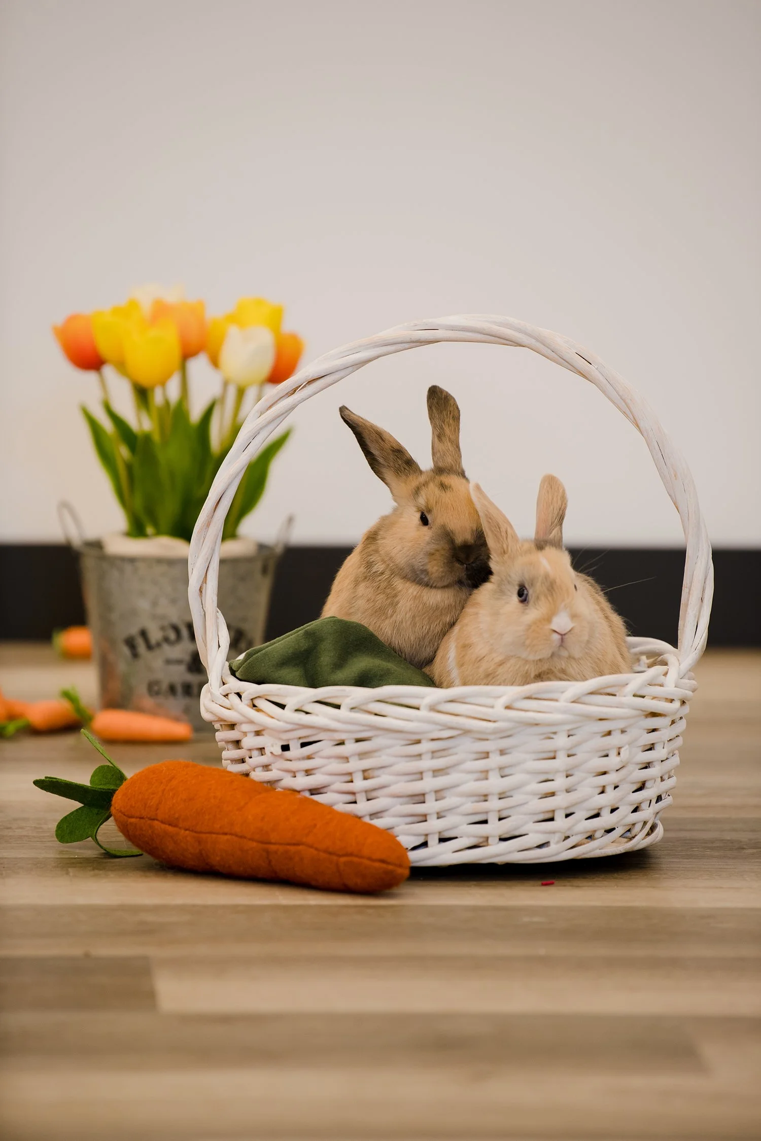 EasterMini2023-5280 copysmall.jpg