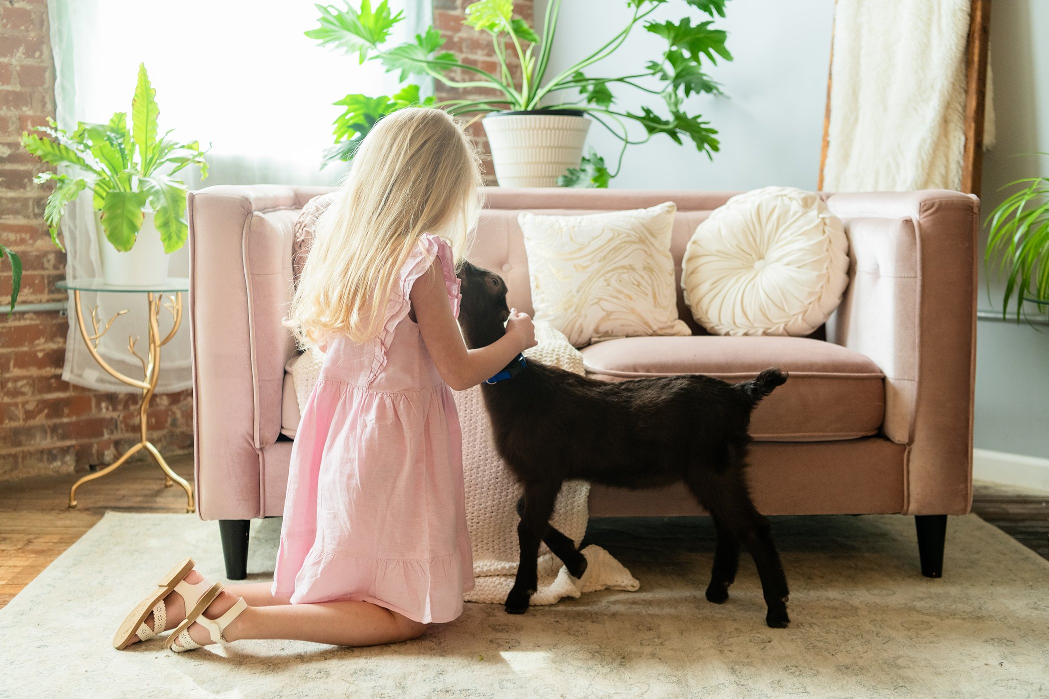 AvaAddy+Waylon-6707 copysmall.jpg