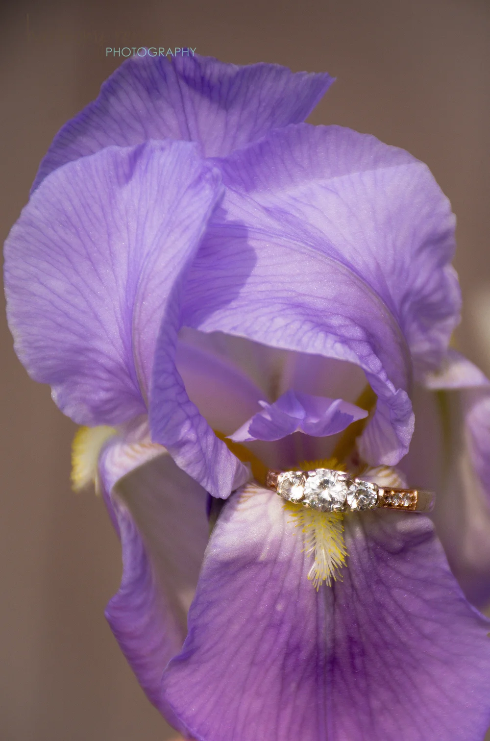 ColeWedding{fbz}-2.jpg