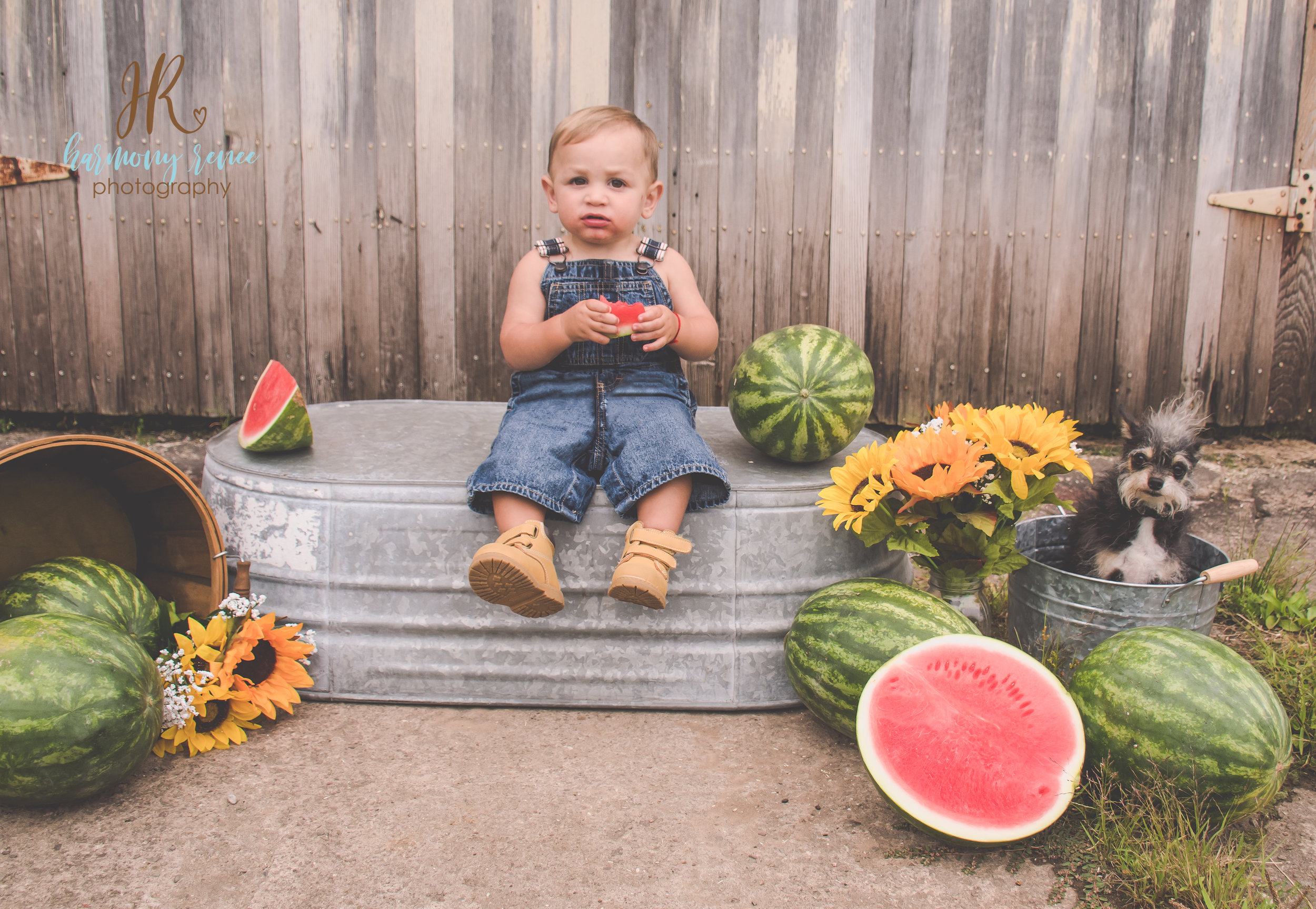 Paul+HollyWatermelon{fb}--6.jpg