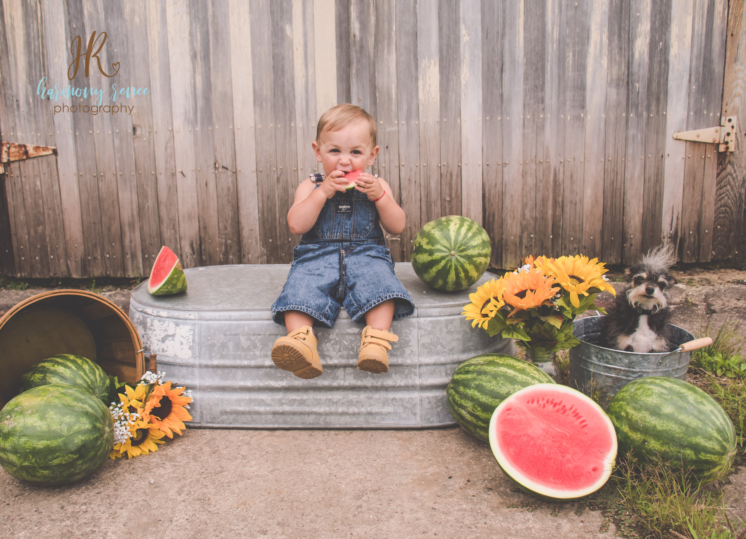 Paul+HollyWatermelon{fb}--7.jpg