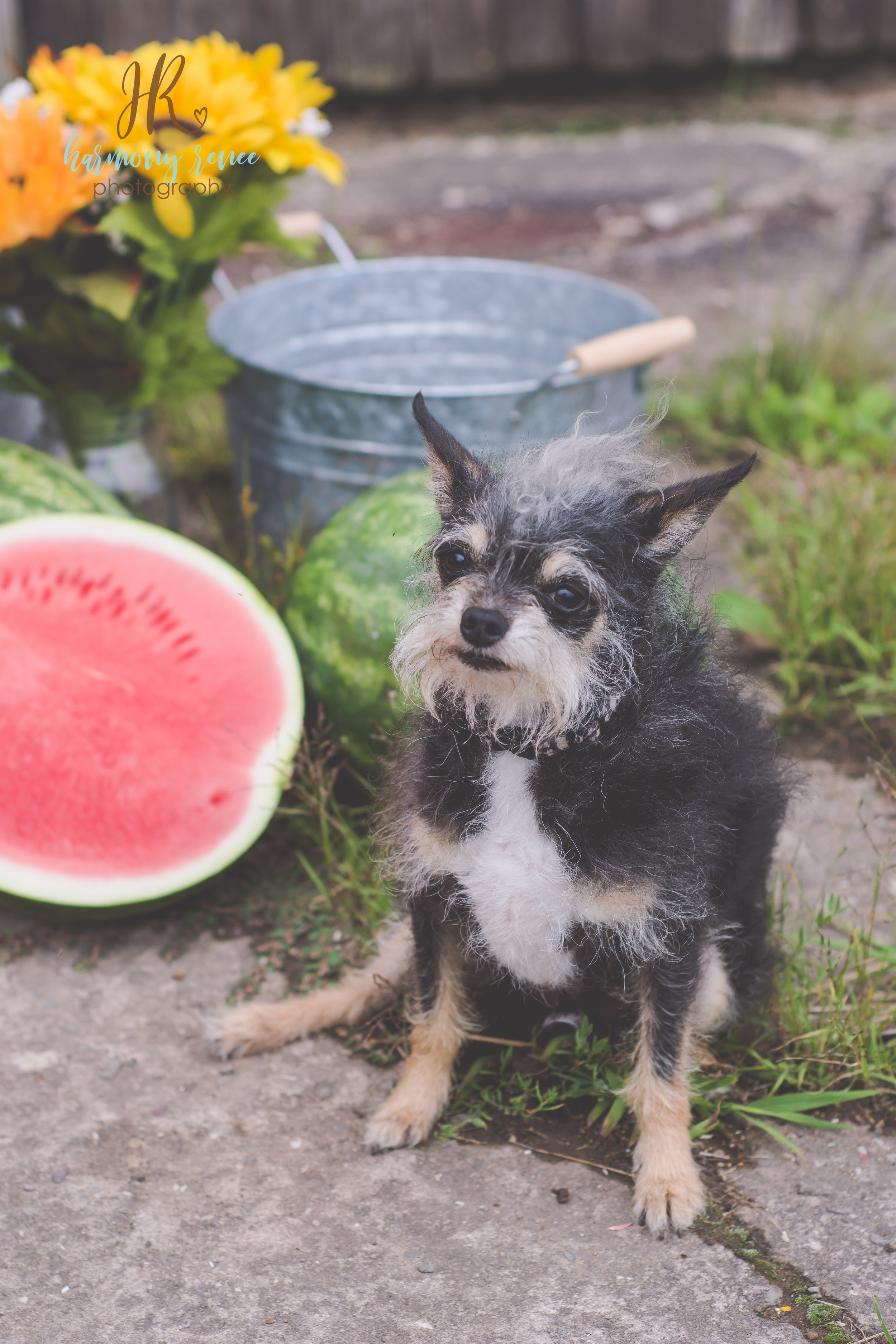 Paul+HollyWatermelon{fb}-0931.jpg