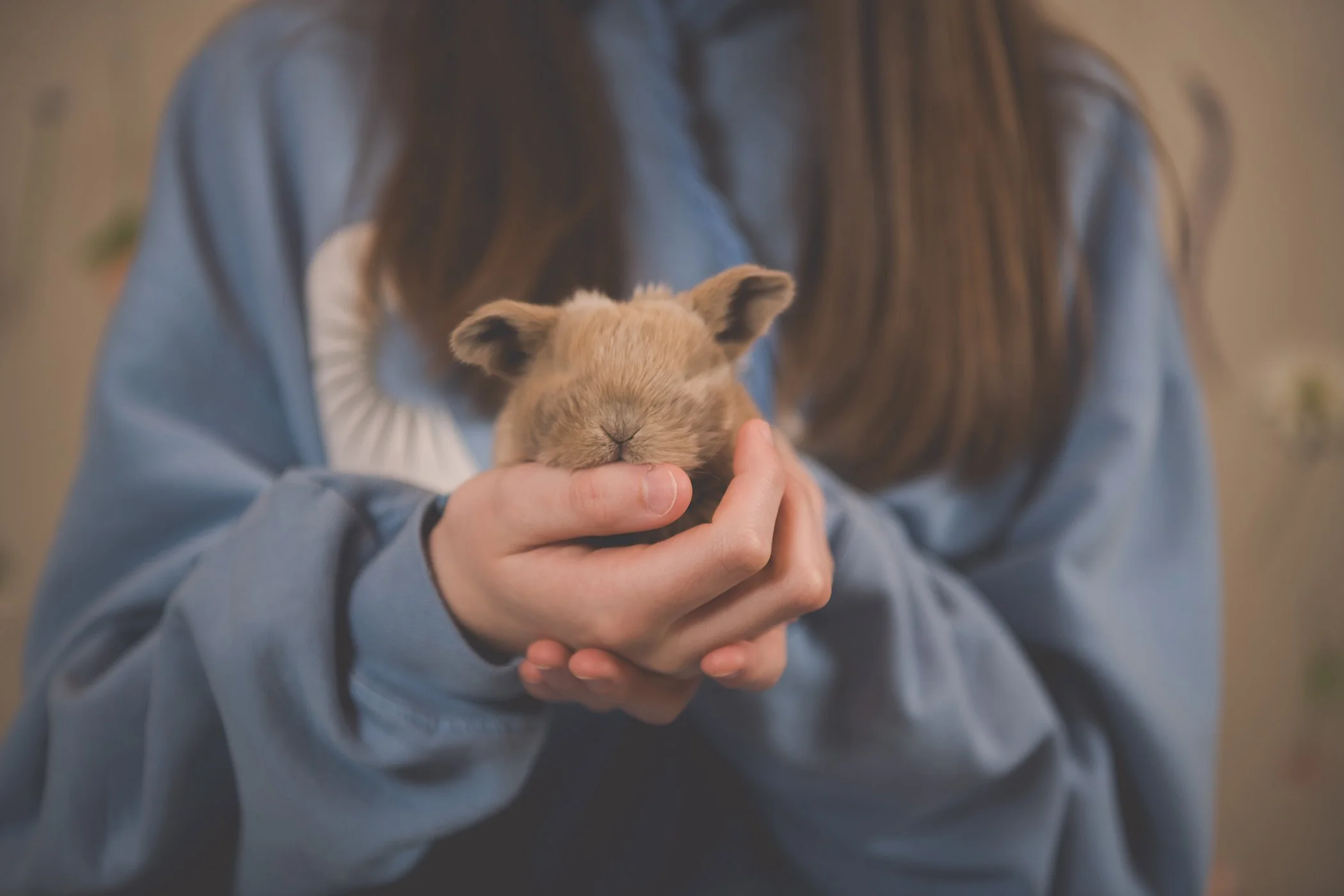 EasterMini2025-Peck-7444 copysmall.jpg