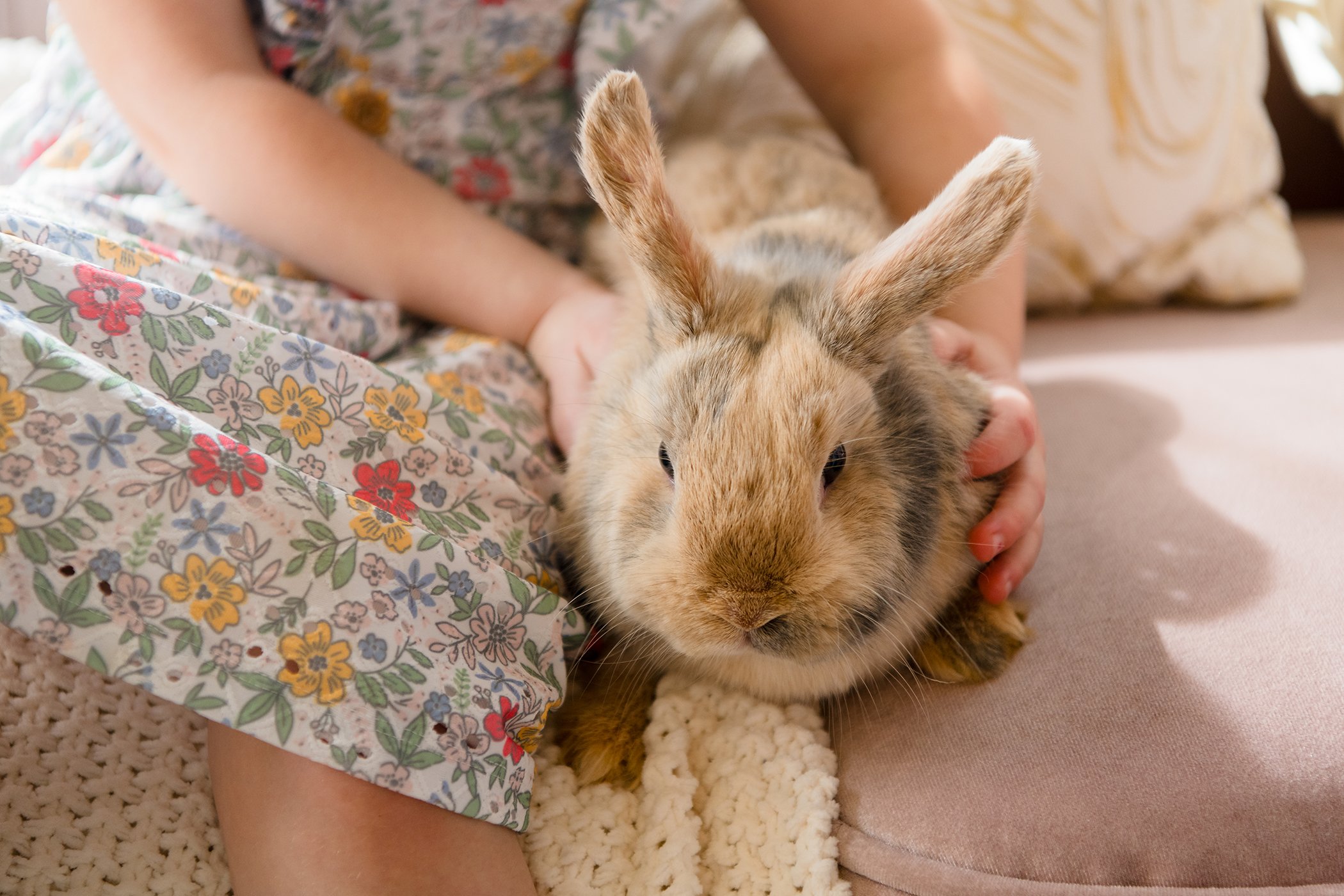 Amelia+Everly-Easter-6617 copysmall.jpg