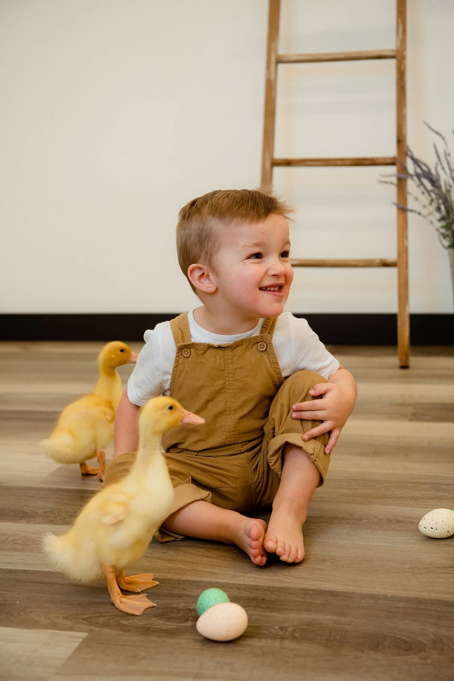 EasterMini2023-Erlwein-6469 copysmall.jpg