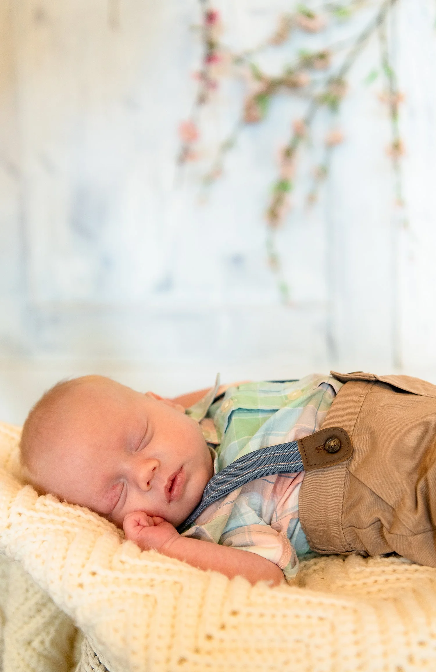 AvaAddy+Waylon-6783 copysmall.jpg