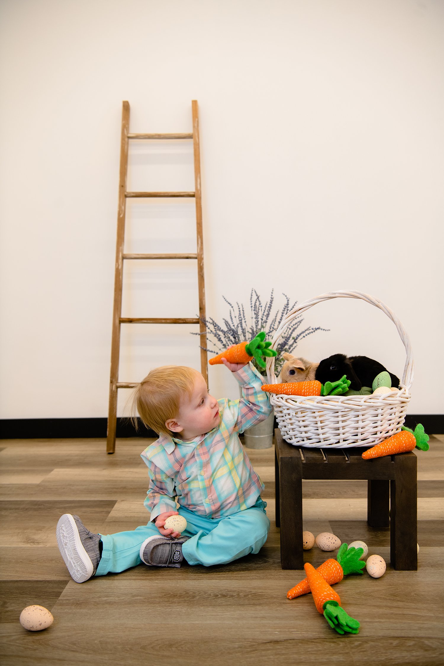 EasterMini2023-Bird-5933 copysmall.jpg