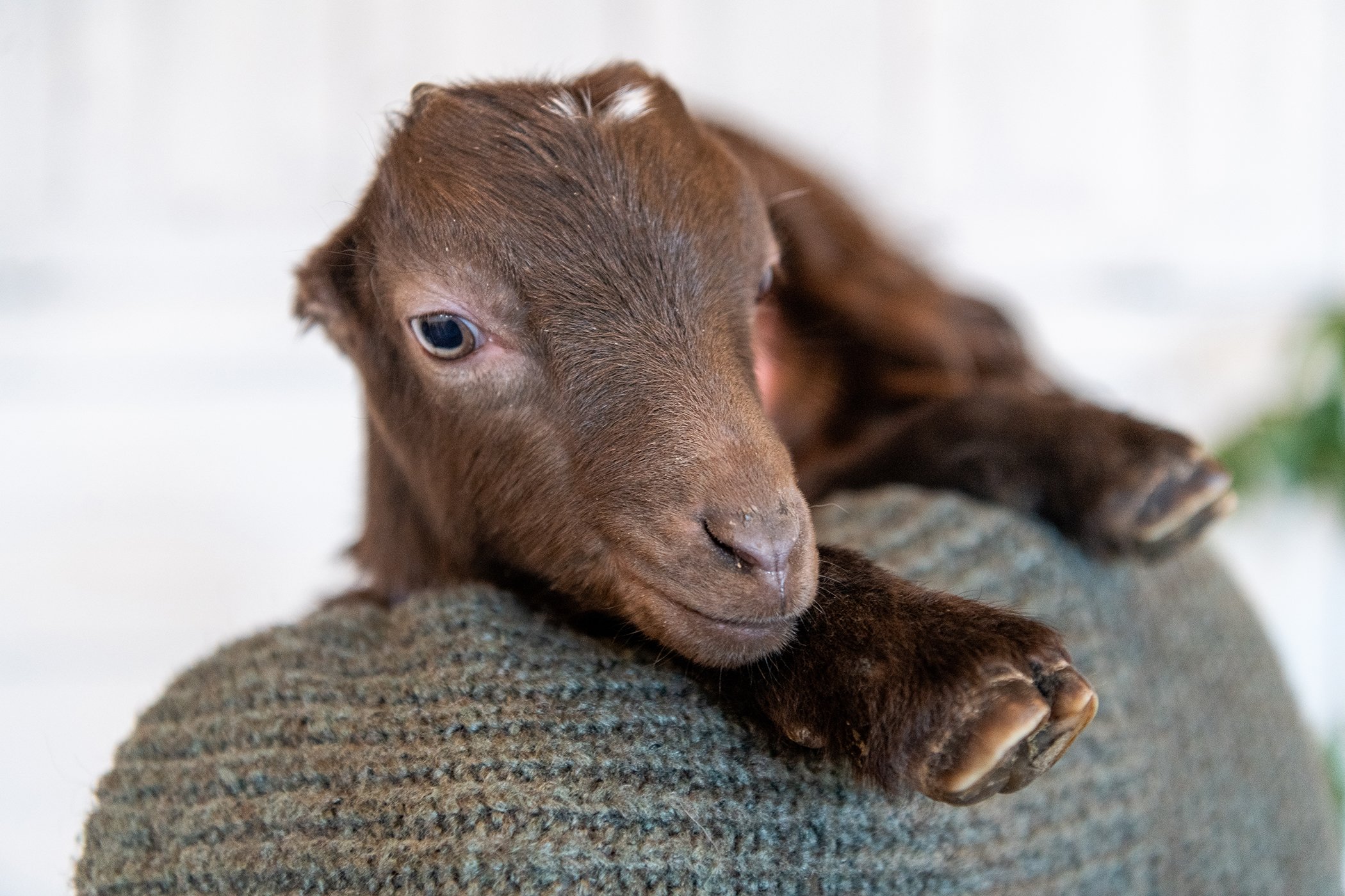 Harmony+Kelly-Easter2024-6808 copysmall.jpg