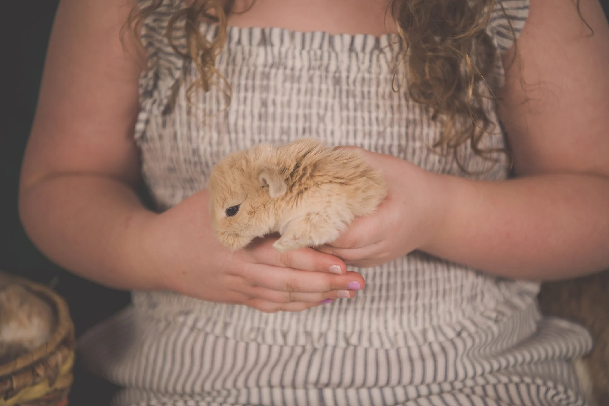 EasterMini2025-Addy+Zach-6924-2 copysmall.jpg