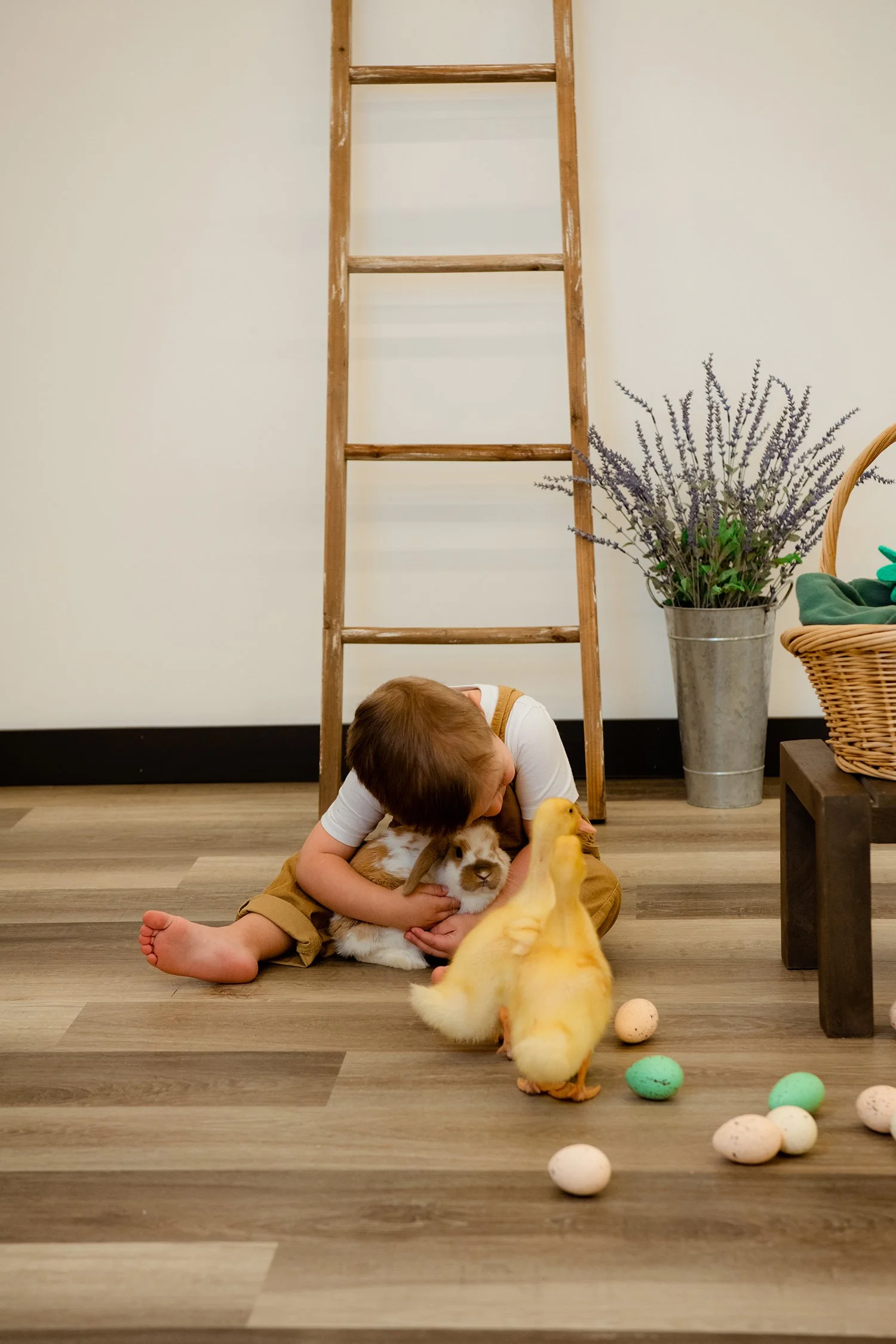 EasterMini2023-Erlwein-6457 copysmall.jpg