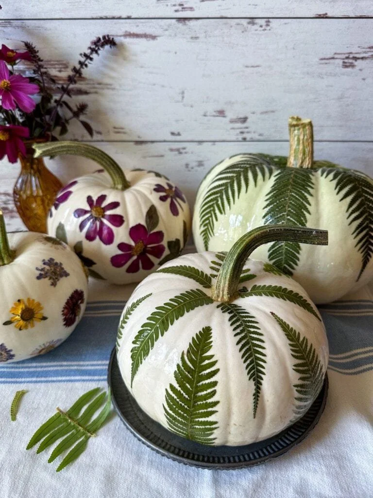 botanical pressed flowers on pumpkins.jpg