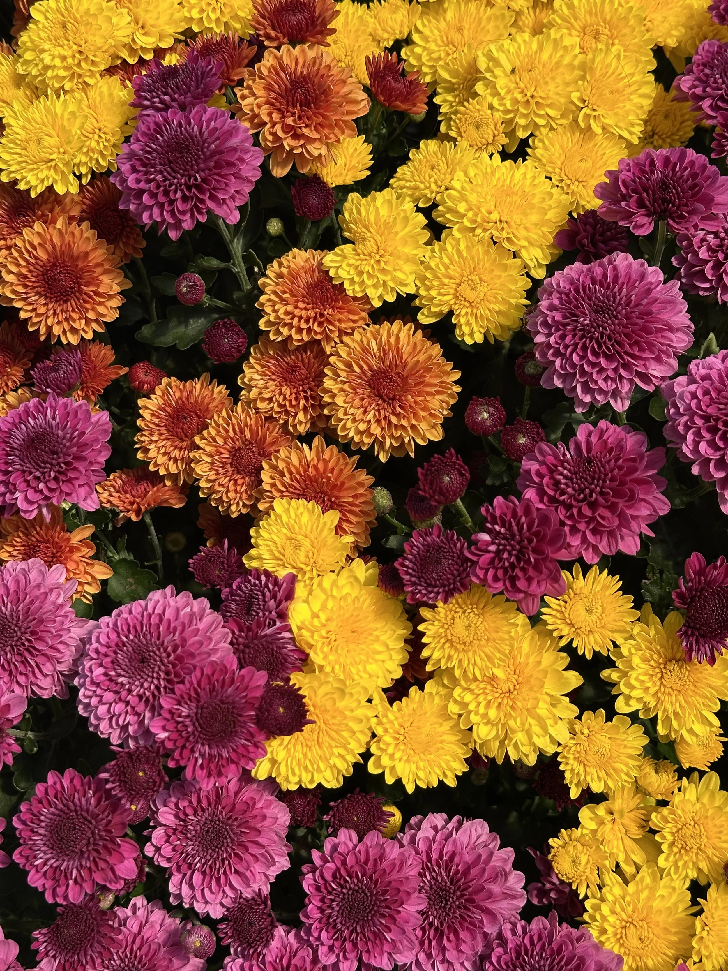 Fall Porch Design Add-On's