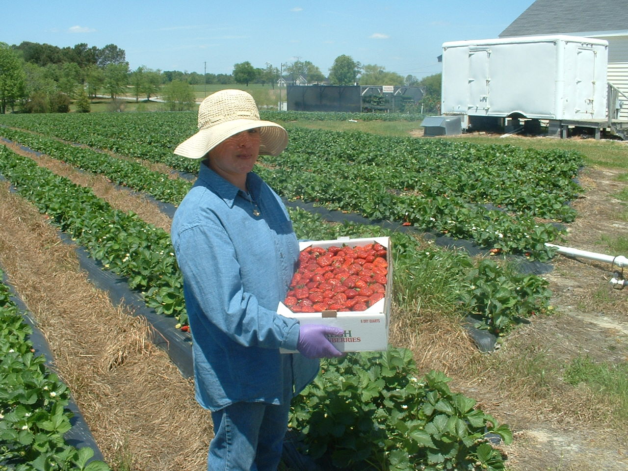 2005 strawberry flat 001.jpg