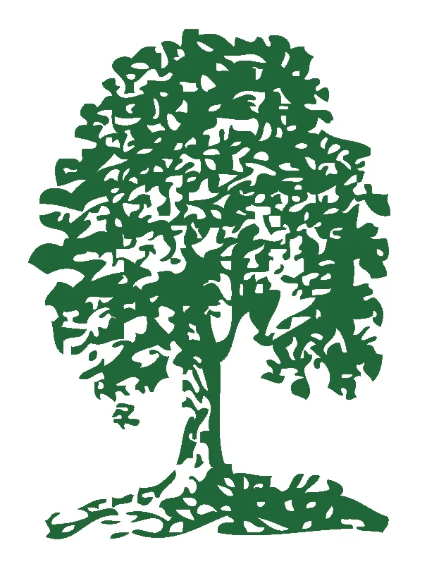 NEW_SNTREE_.jpg