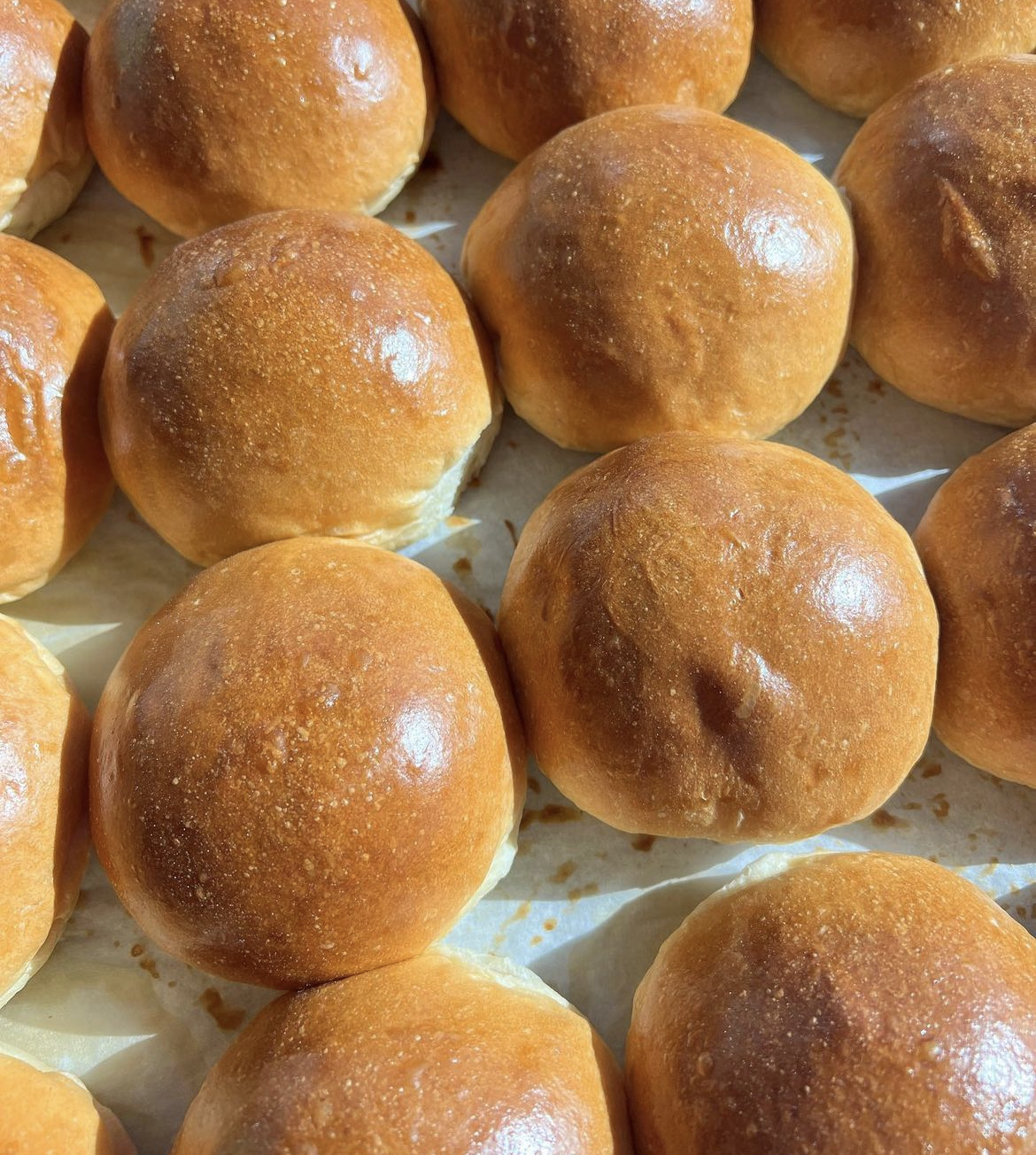 Screenshot 2023-11-08 at 12.45.45 PM.png