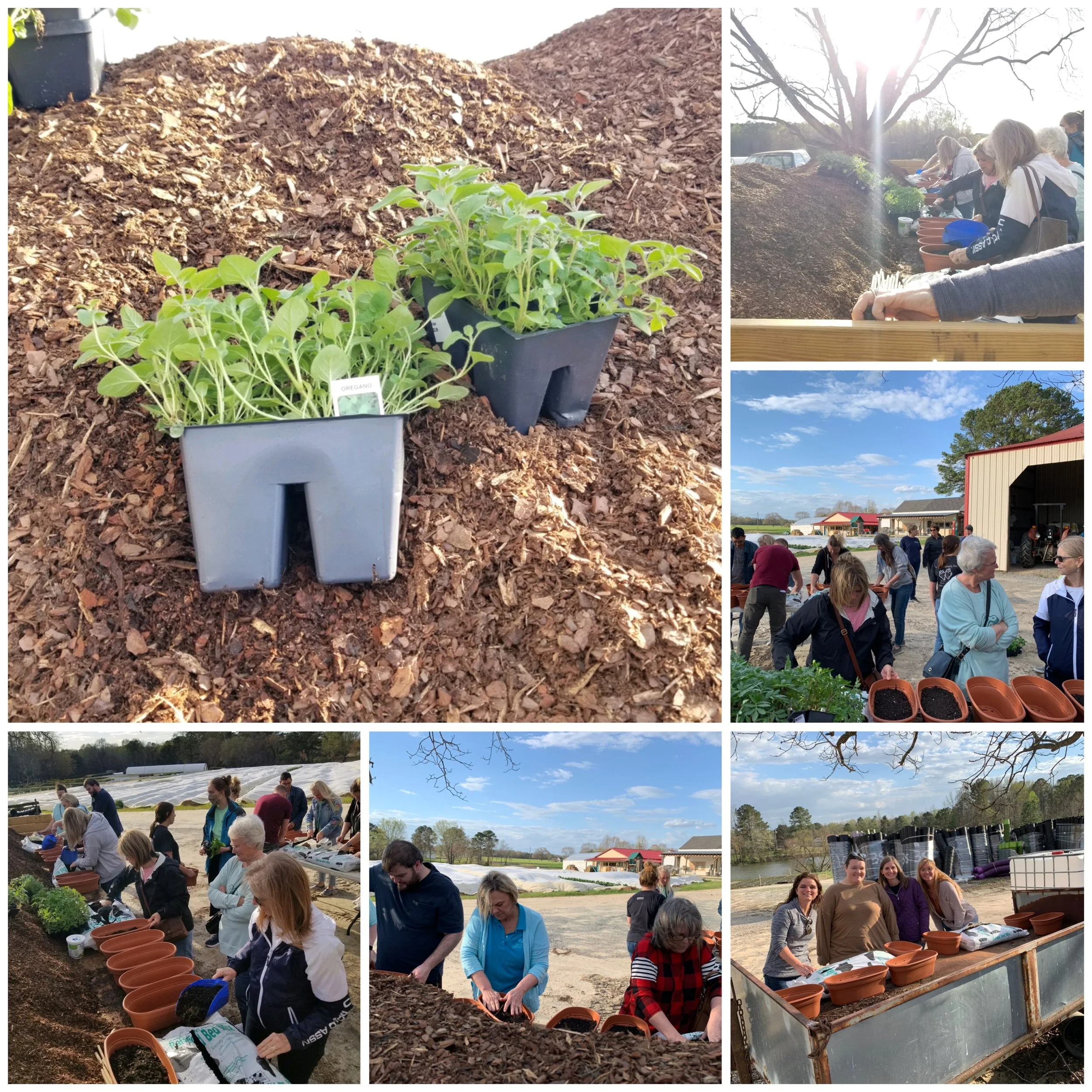 Herb Container Gardening Workshop, Saturday, March 22nd, 11 am