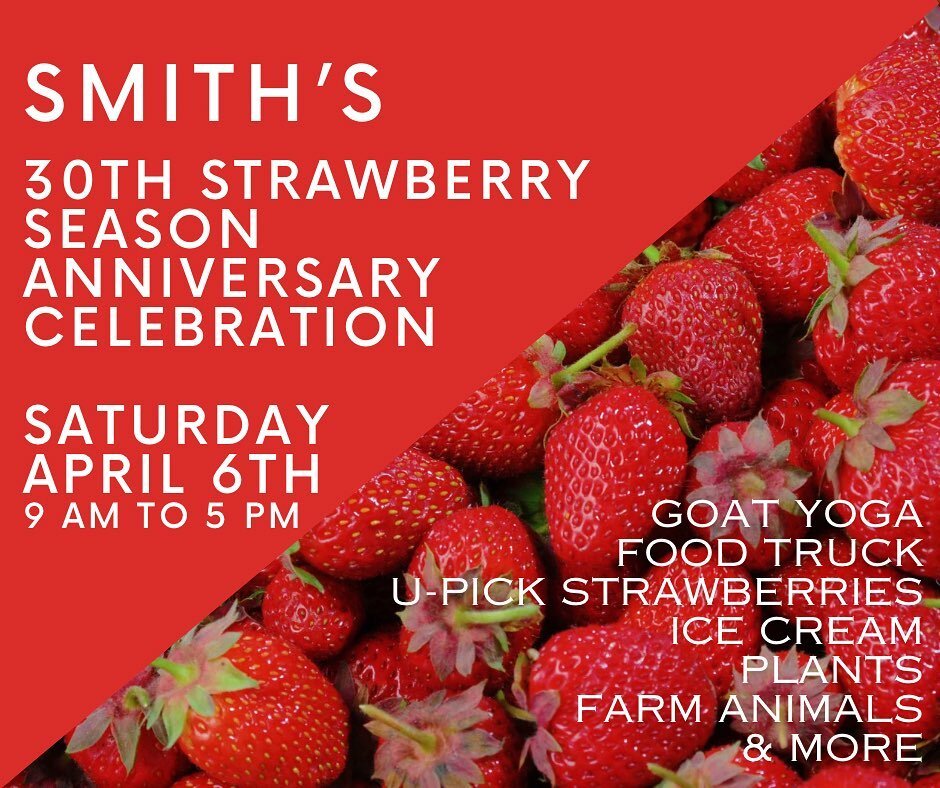 Join us this Saturday, April 6th from 9-5 for our 30th anniversary celebration! We have a lot to be thankful for with this being our 30th strawberry crop! 

We have goat yoga at 10:30
Mr. &amp; That Dang Woman Food Truck for lunch
U-pick strawberries