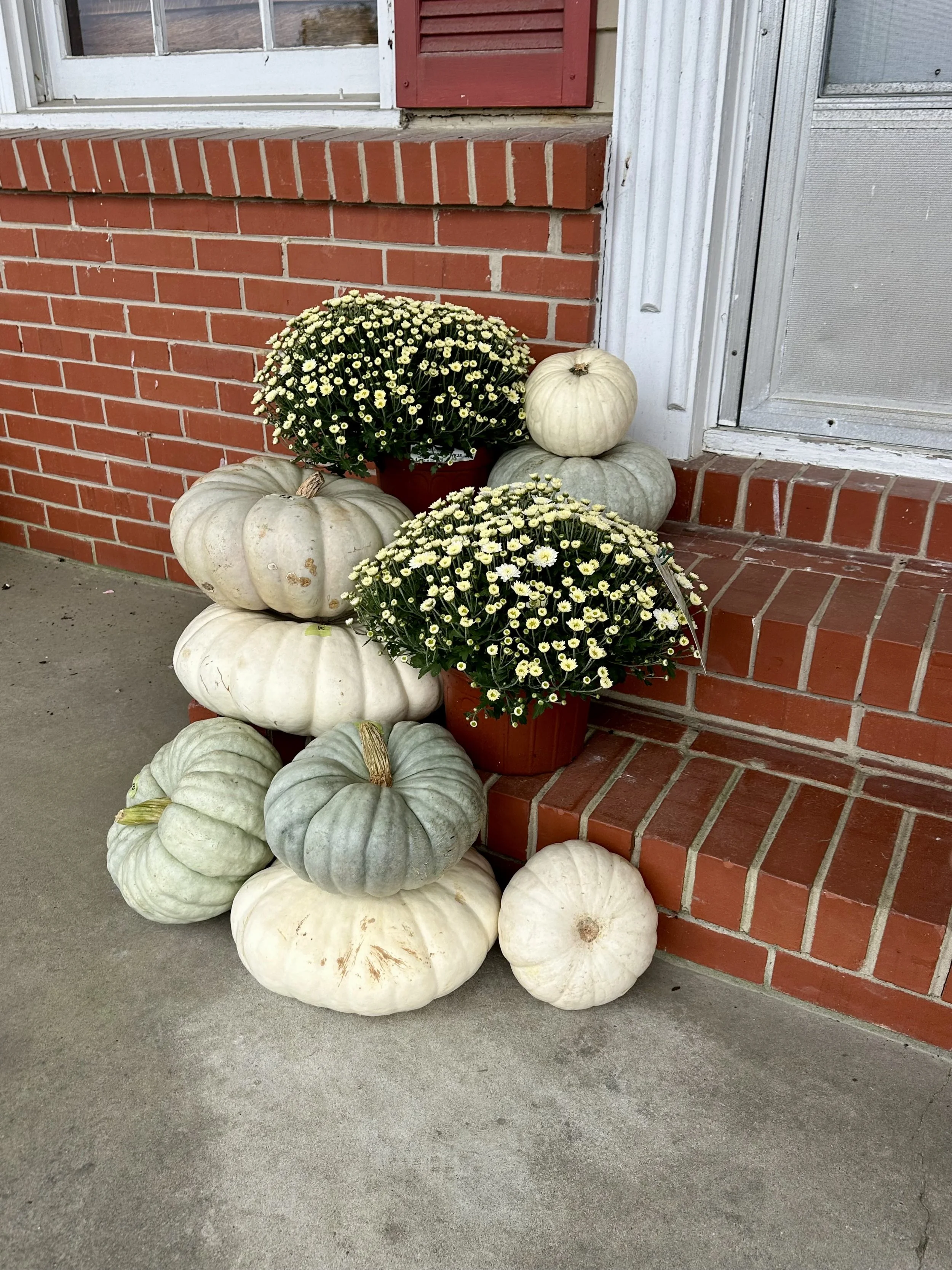 Small Fall Porch Design Package