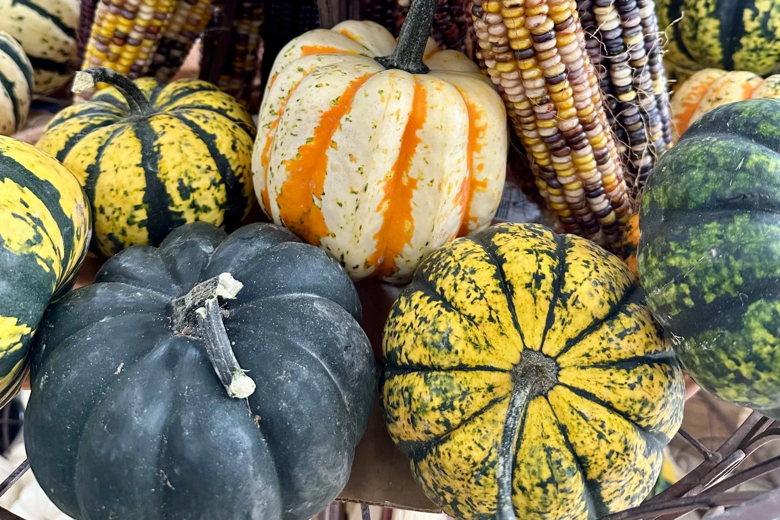 Fall Porch Design Add-On's