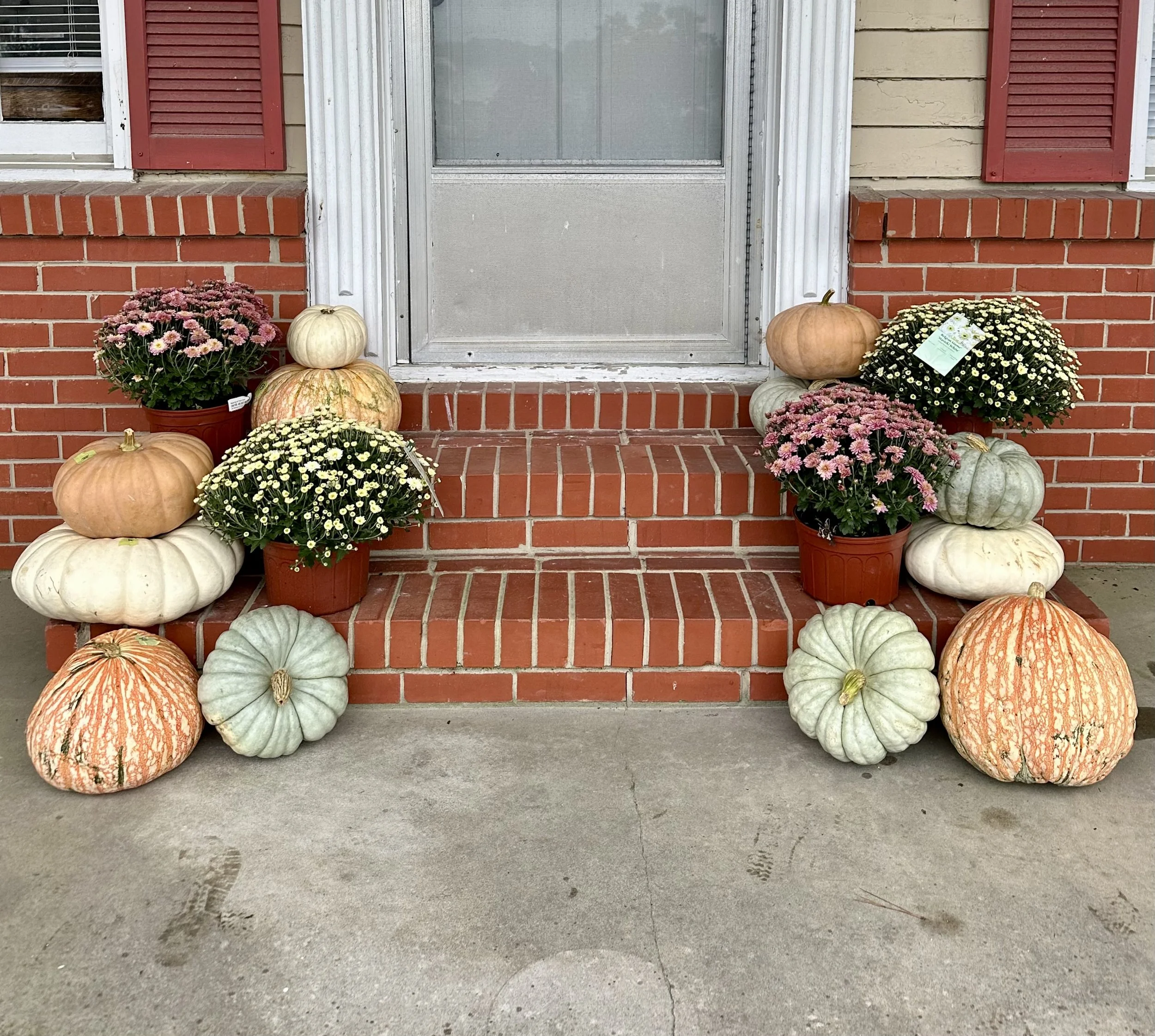 Medium Fall Porch Design Package