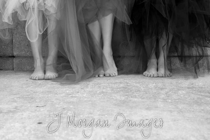 Tutu {Togs} in Tampa