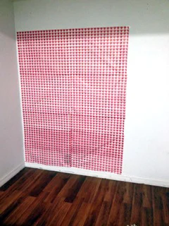 DIY Tissue Paper Back Ground (Beginner Photographer Back Drop Ideas)