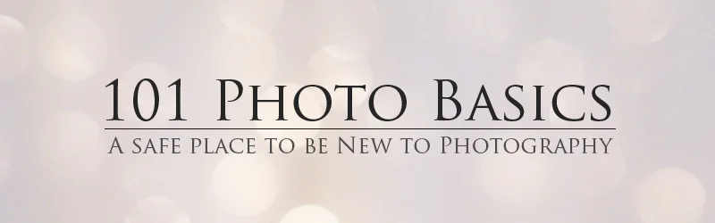 A Beginner Blog Launched