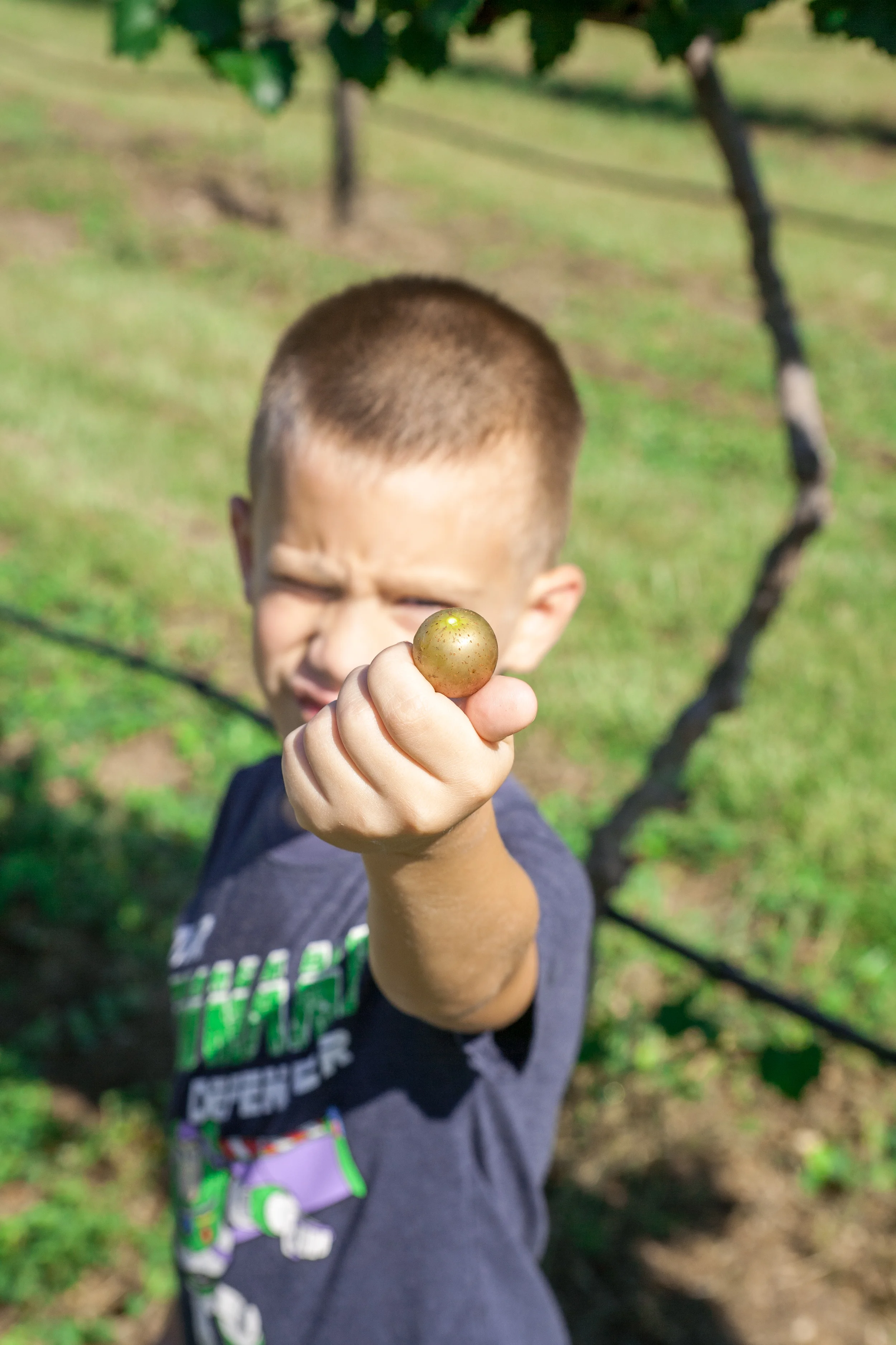 grapes 2014 (17 of 28).jpg