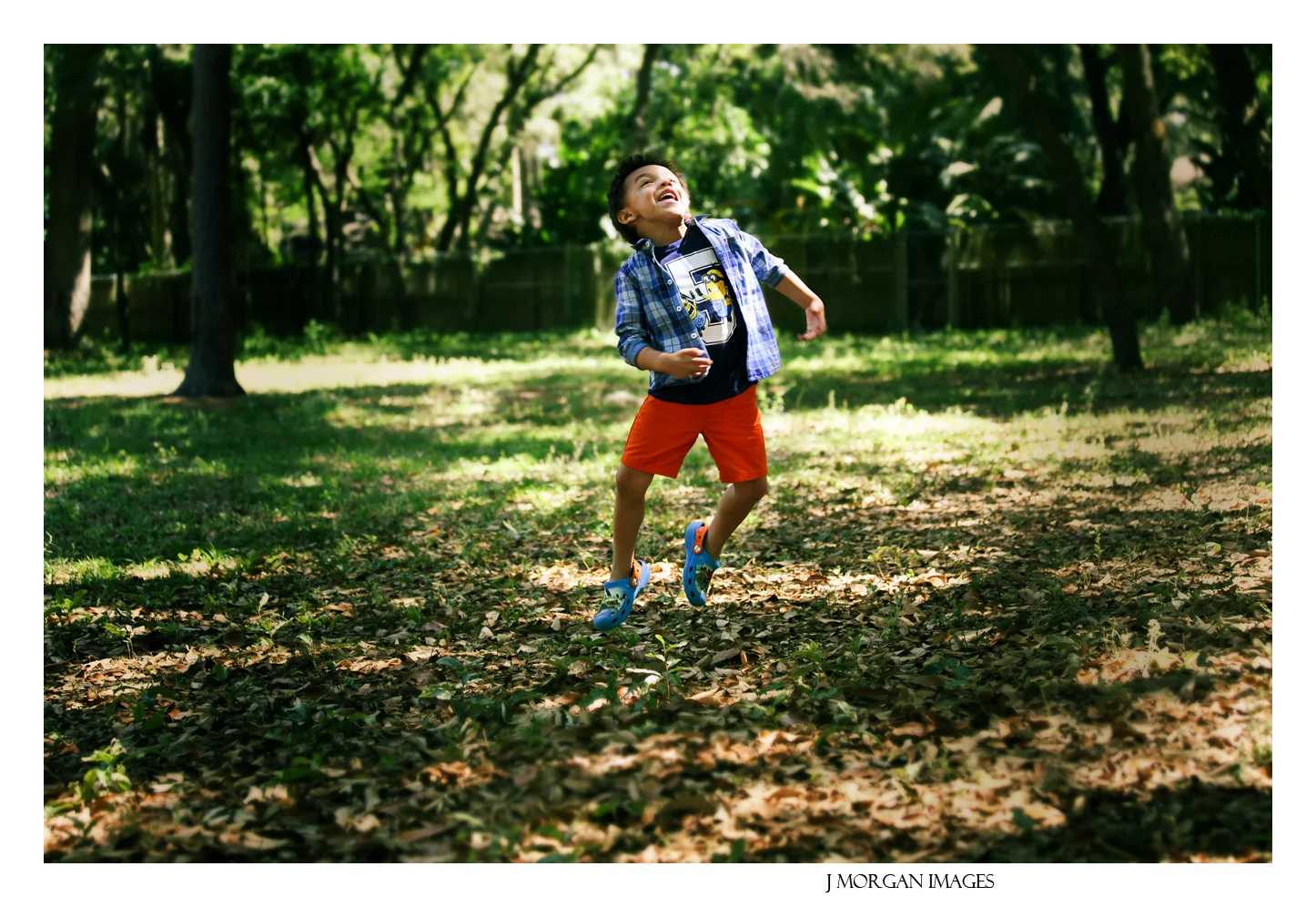 Introducing FREE Mini Sessions