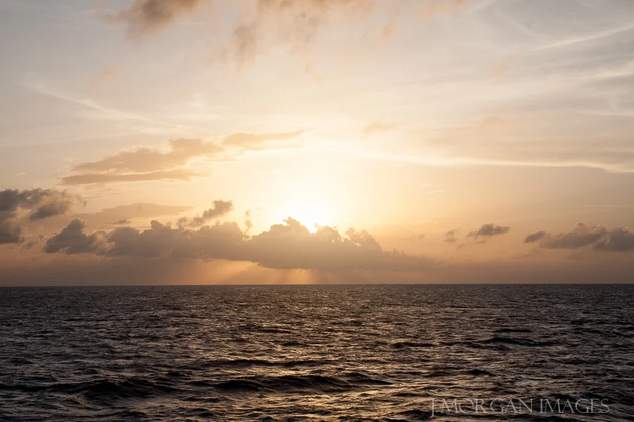 Another Year Starts Now