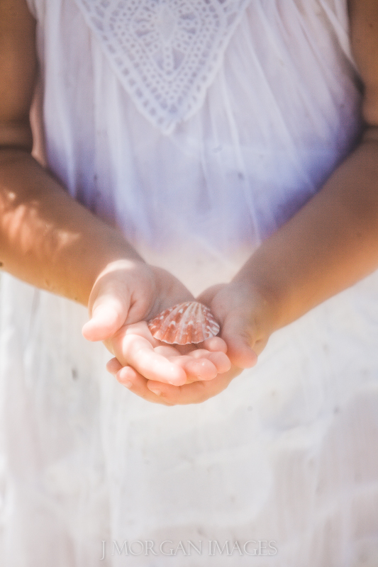 she sells sea shells