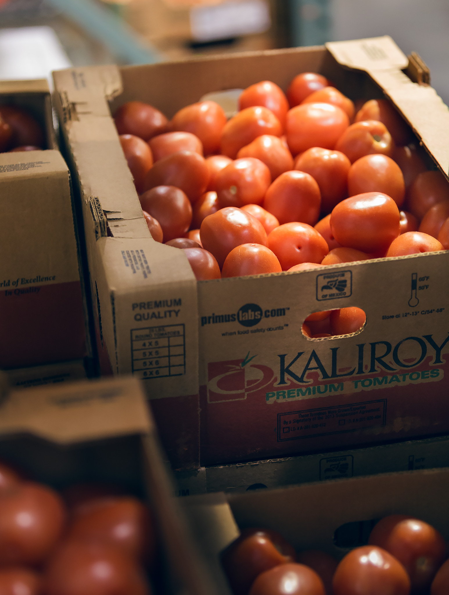 Tomatoes in Waiting