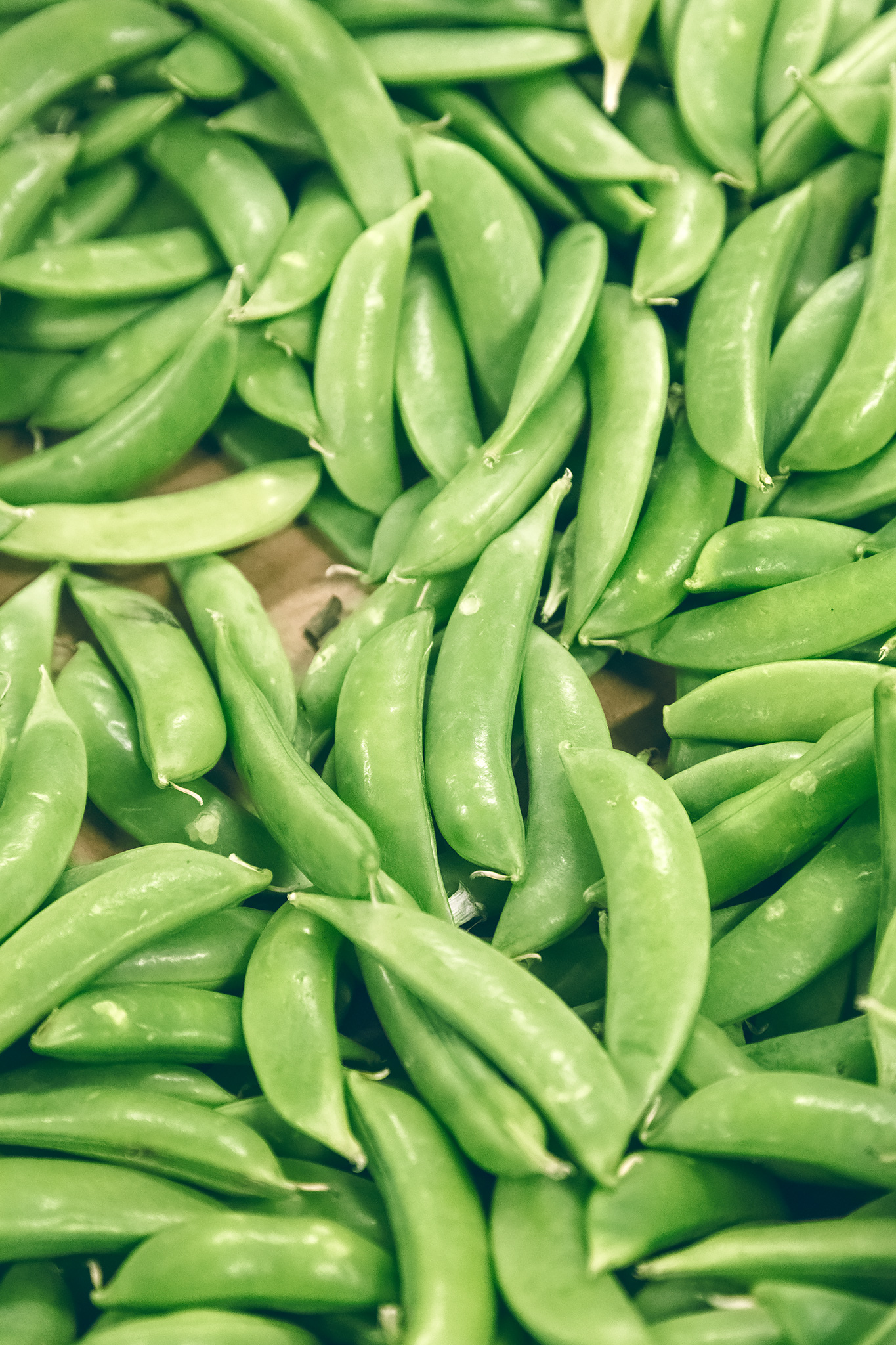 Peas, Peas, Wonderful Peas