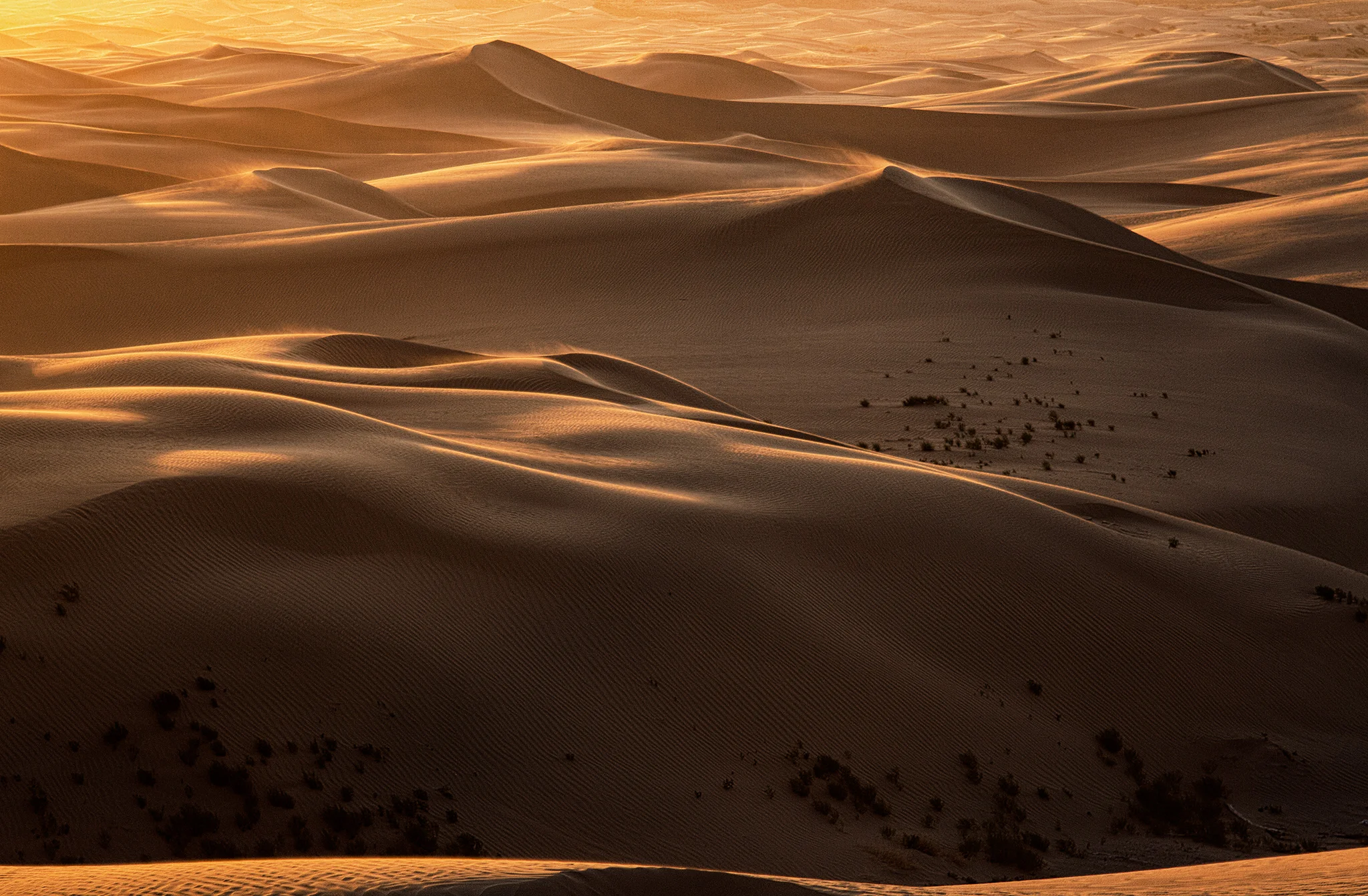 Little Sahara Sand Dunes, Utah, 2018