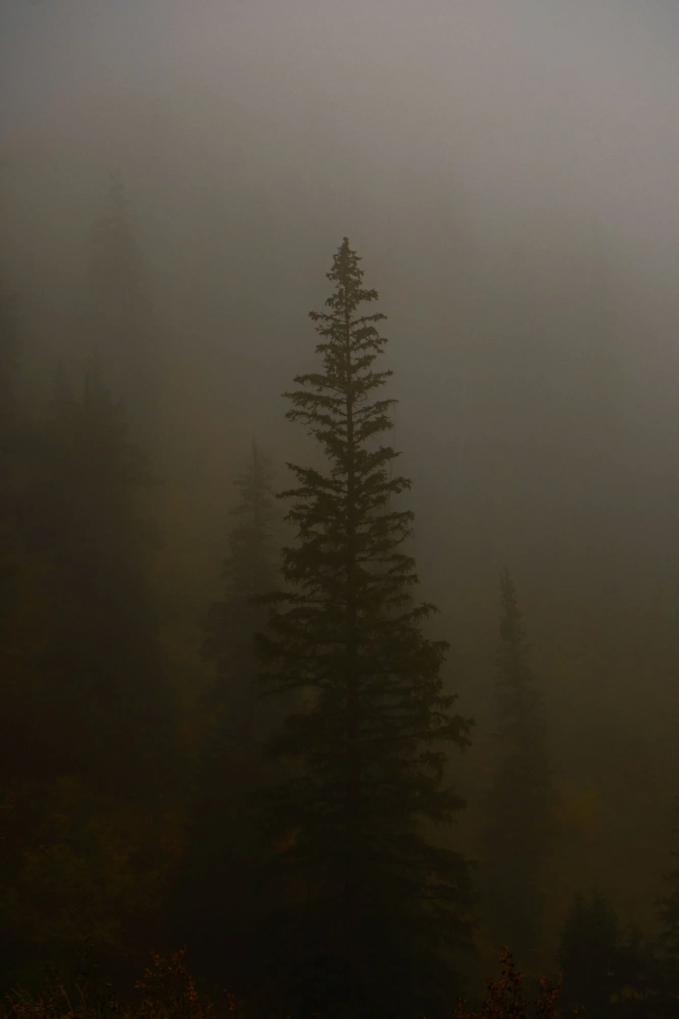 Nebo Loop Trip_100223_0295_web.jpg