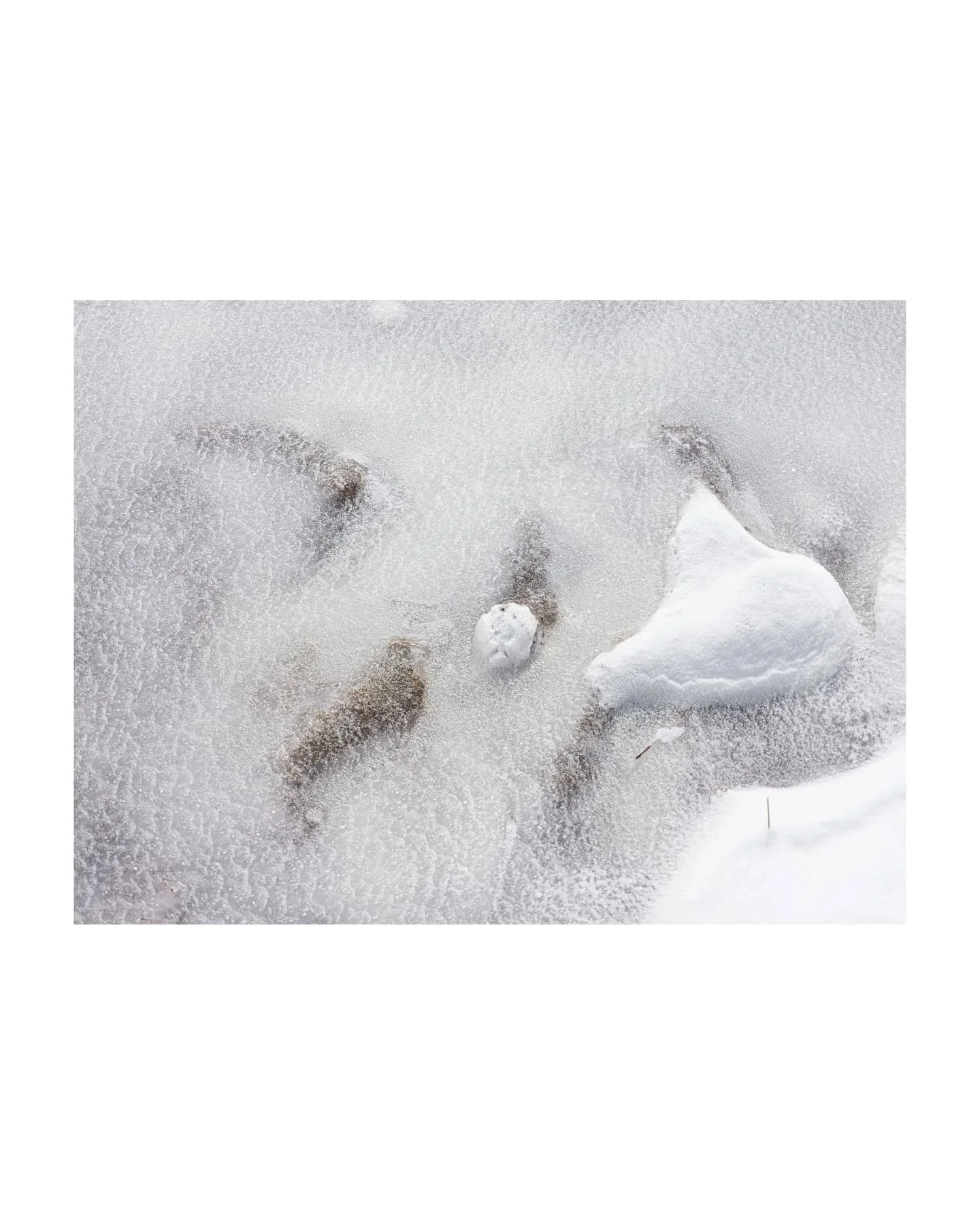 Went for a spring drive with @chefmartinearl 

Amazed the last one came out as well as it did. A real doozy on a manual focus lens!

#utah #energyloopscenicbyway #naturelovers #springwinter #photographer #highkeyphotography