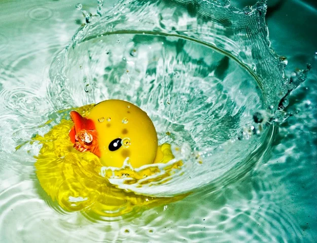 Photo by Mrs. Raggle