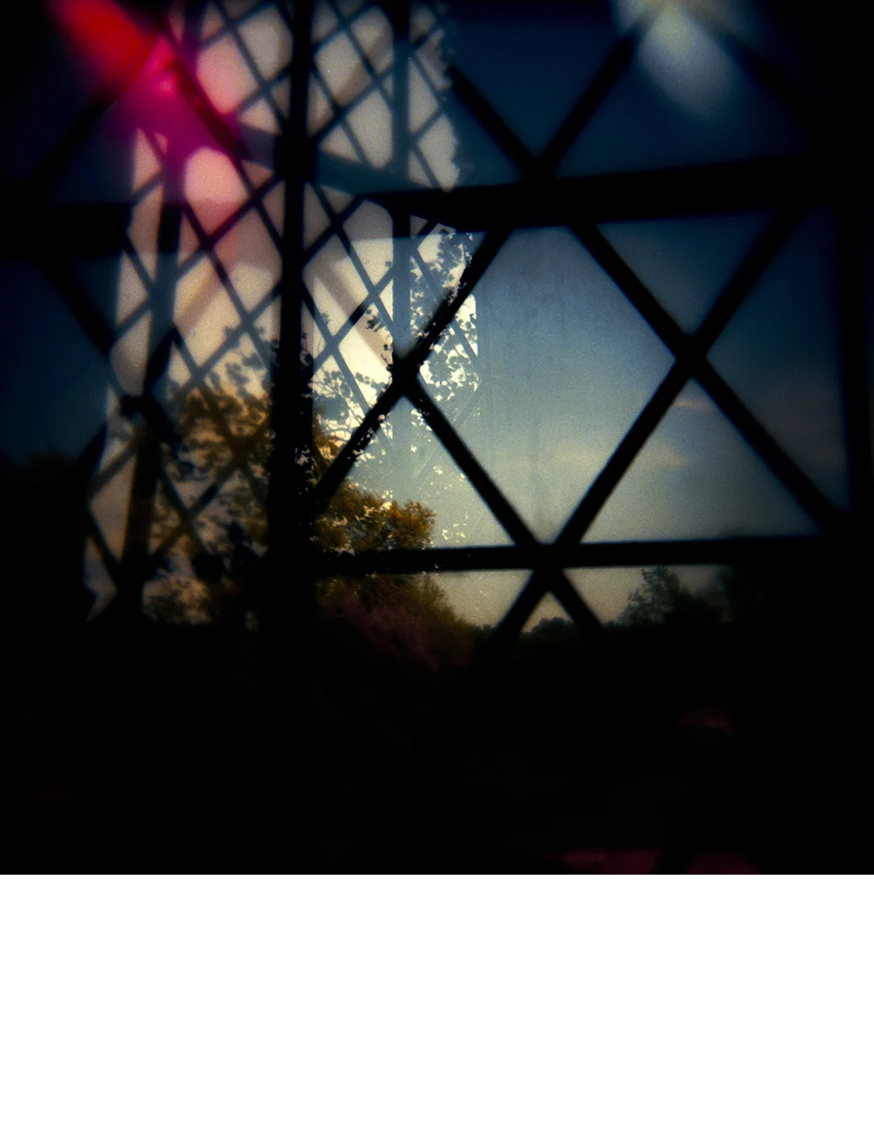 2011 | Chromogenic Print | 2.25 x 2.25”